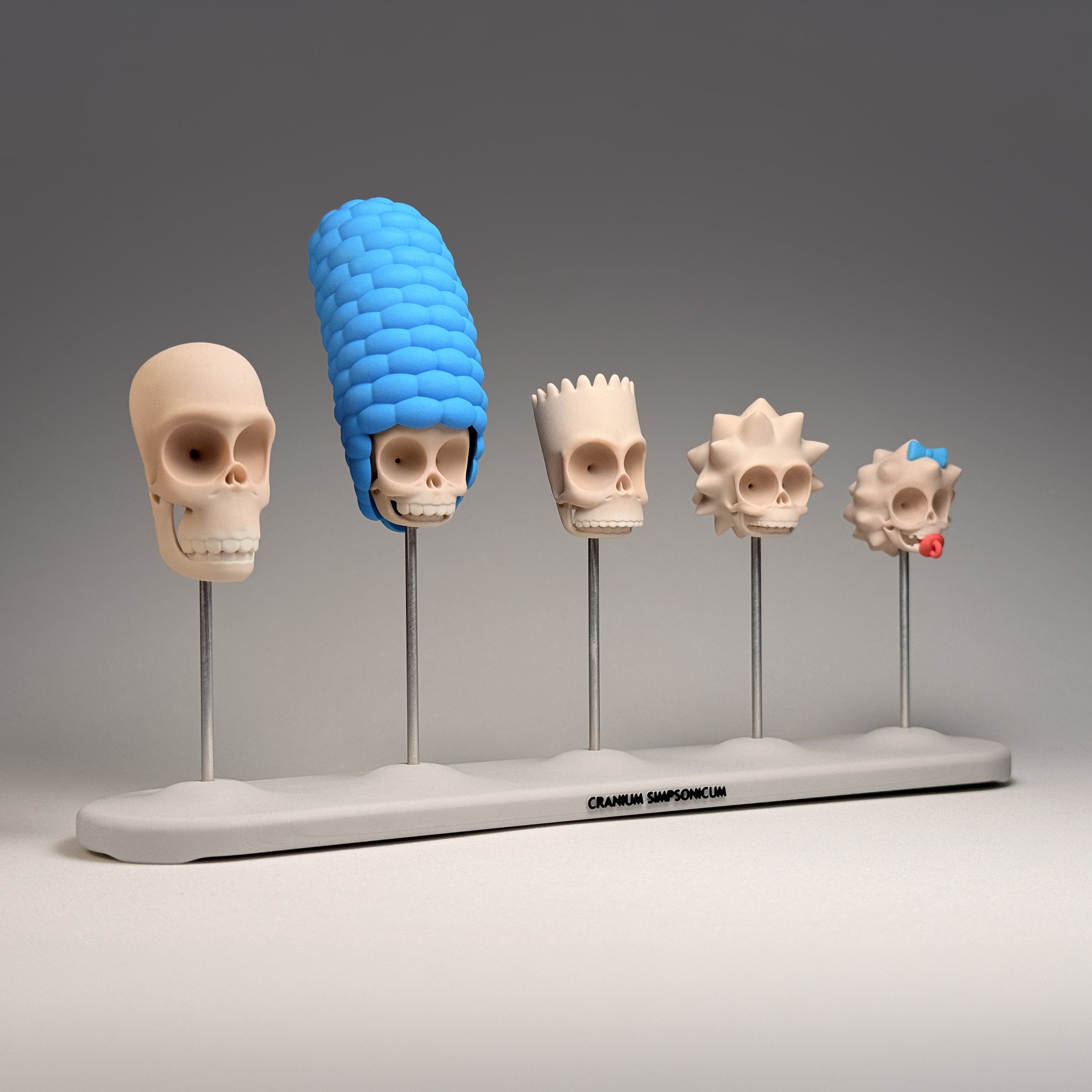 Cranium Simpsonicum • 2026
