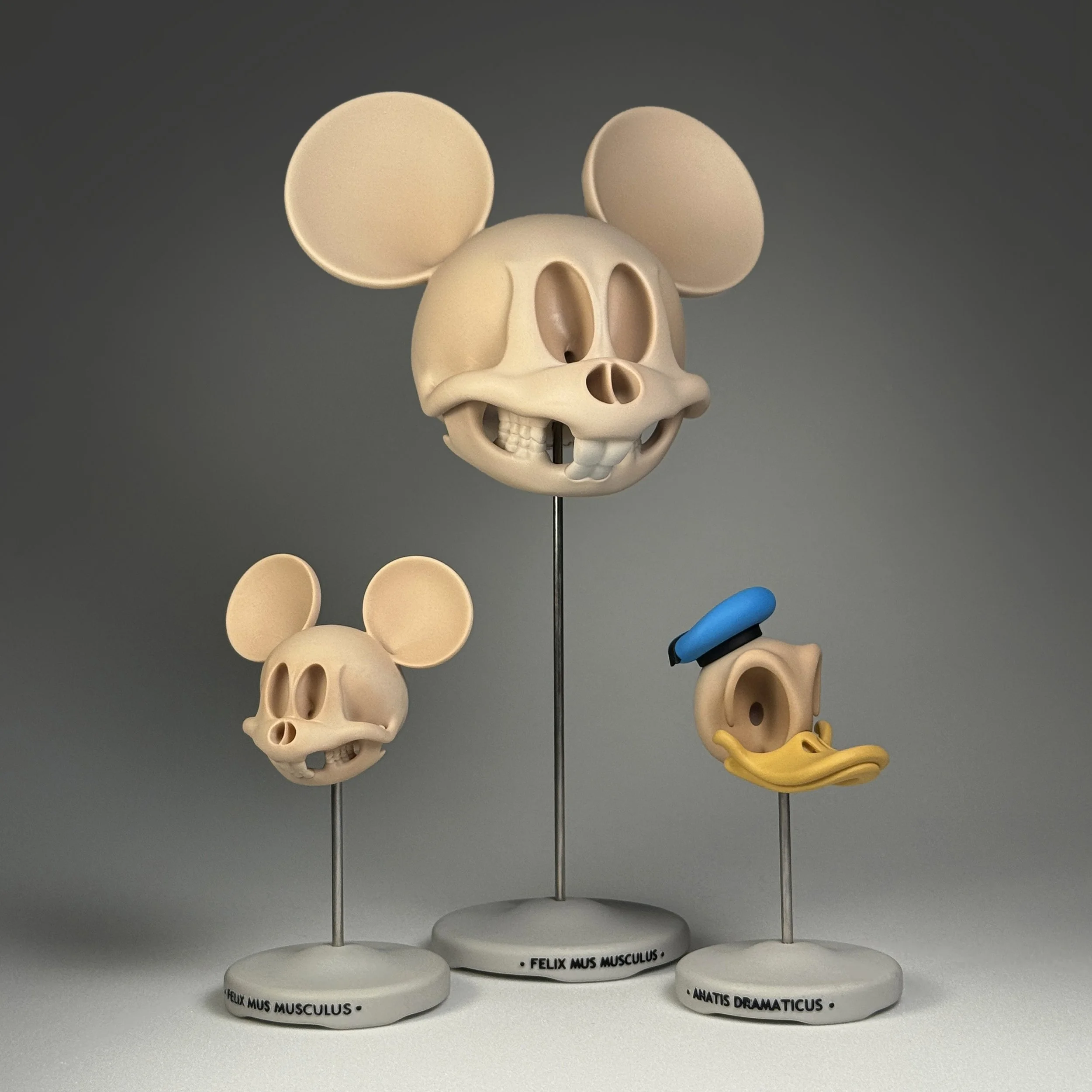 Mickey Giant Group 1.jpg