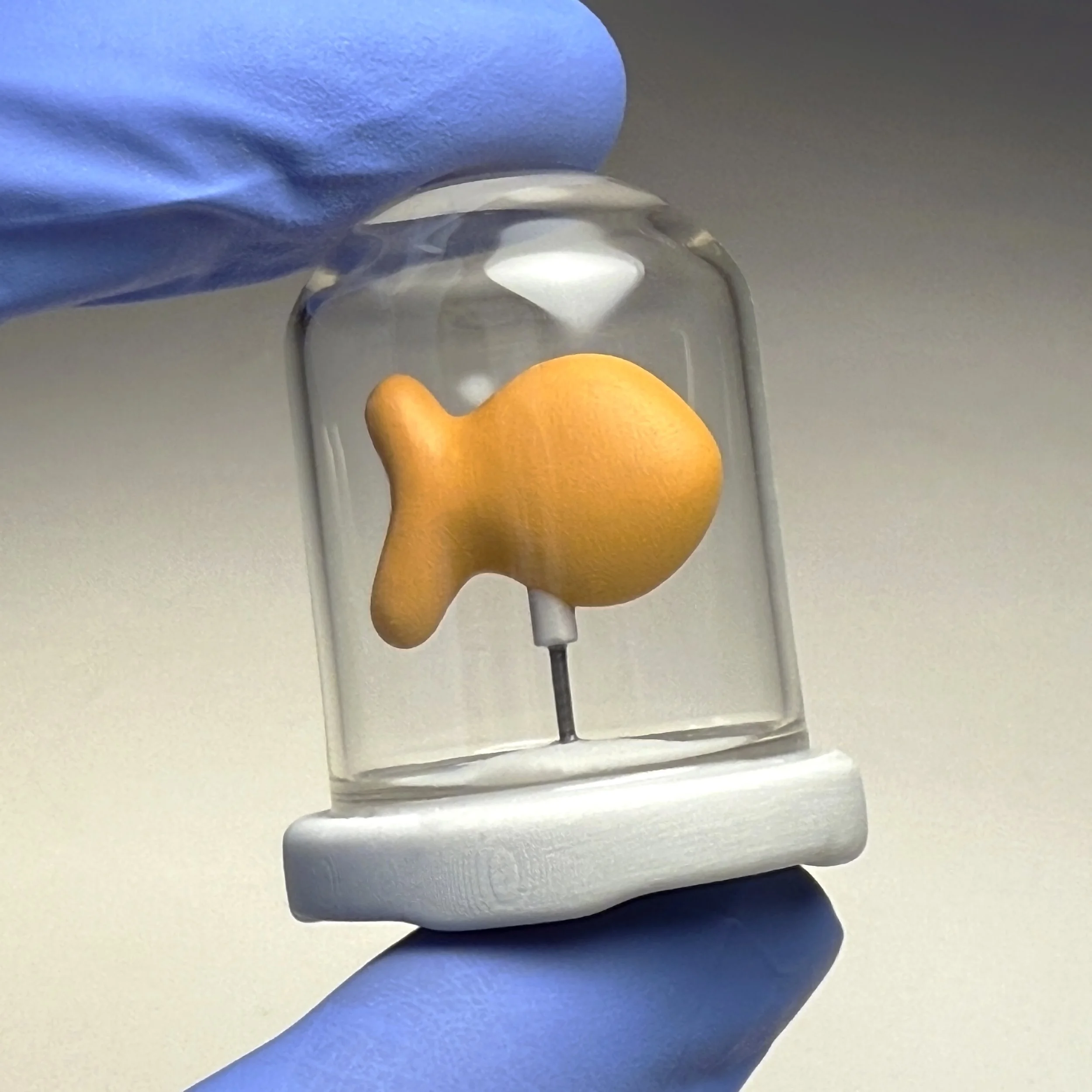 Goldfish Cracker Skeleton (Rear) • 2024