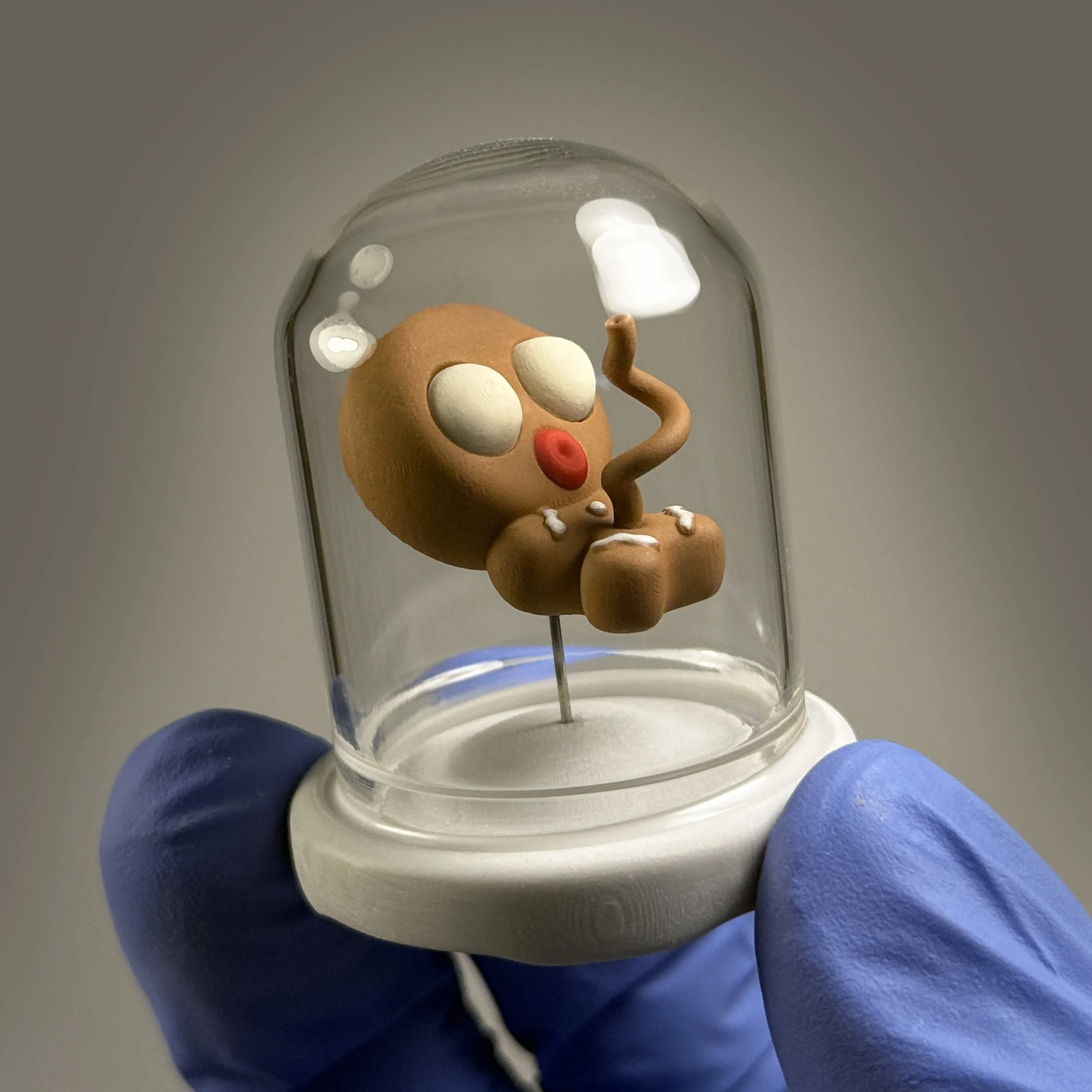 Gingerbread Fetus • 2025