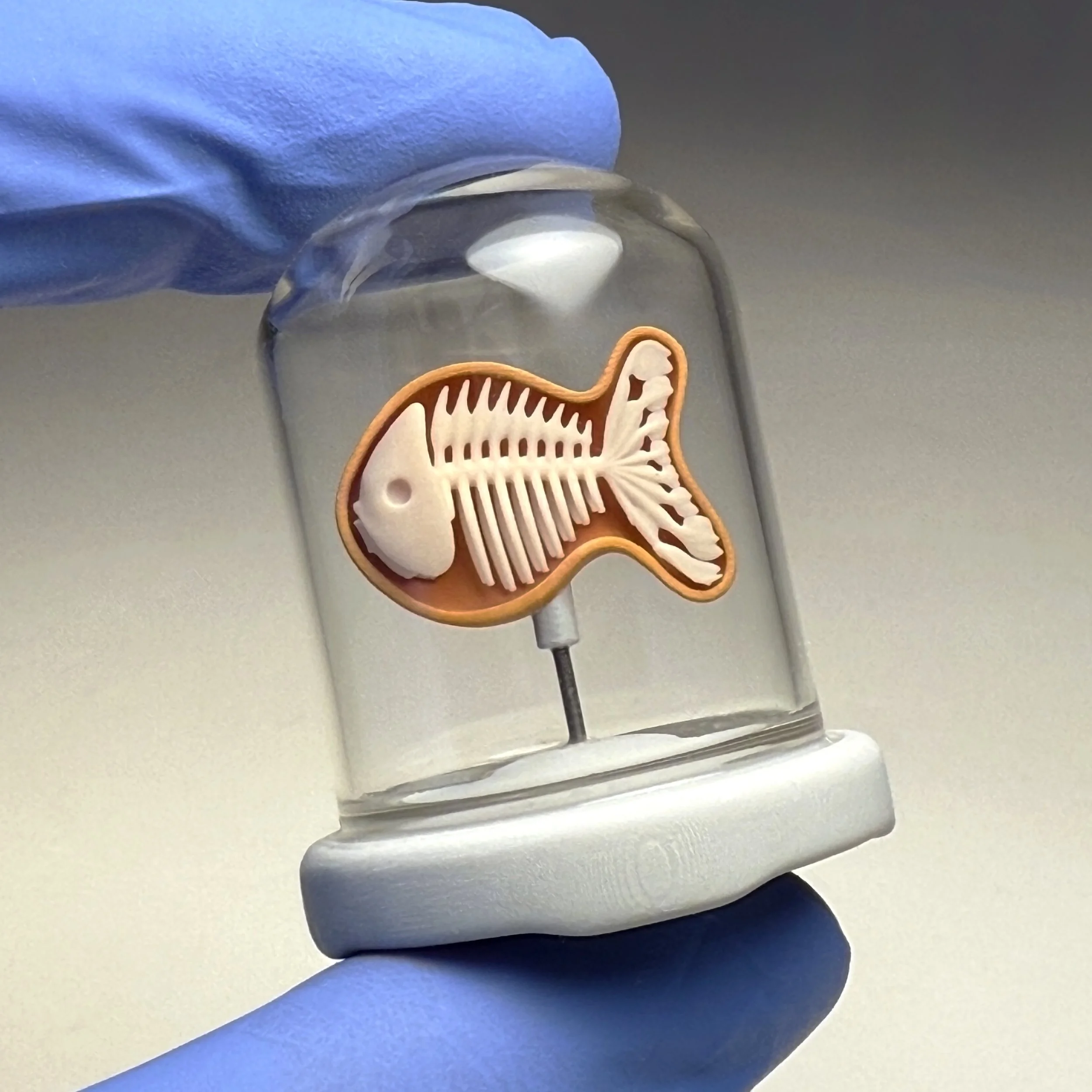 Goldfish Cracker Skeleton (Front) • 2024