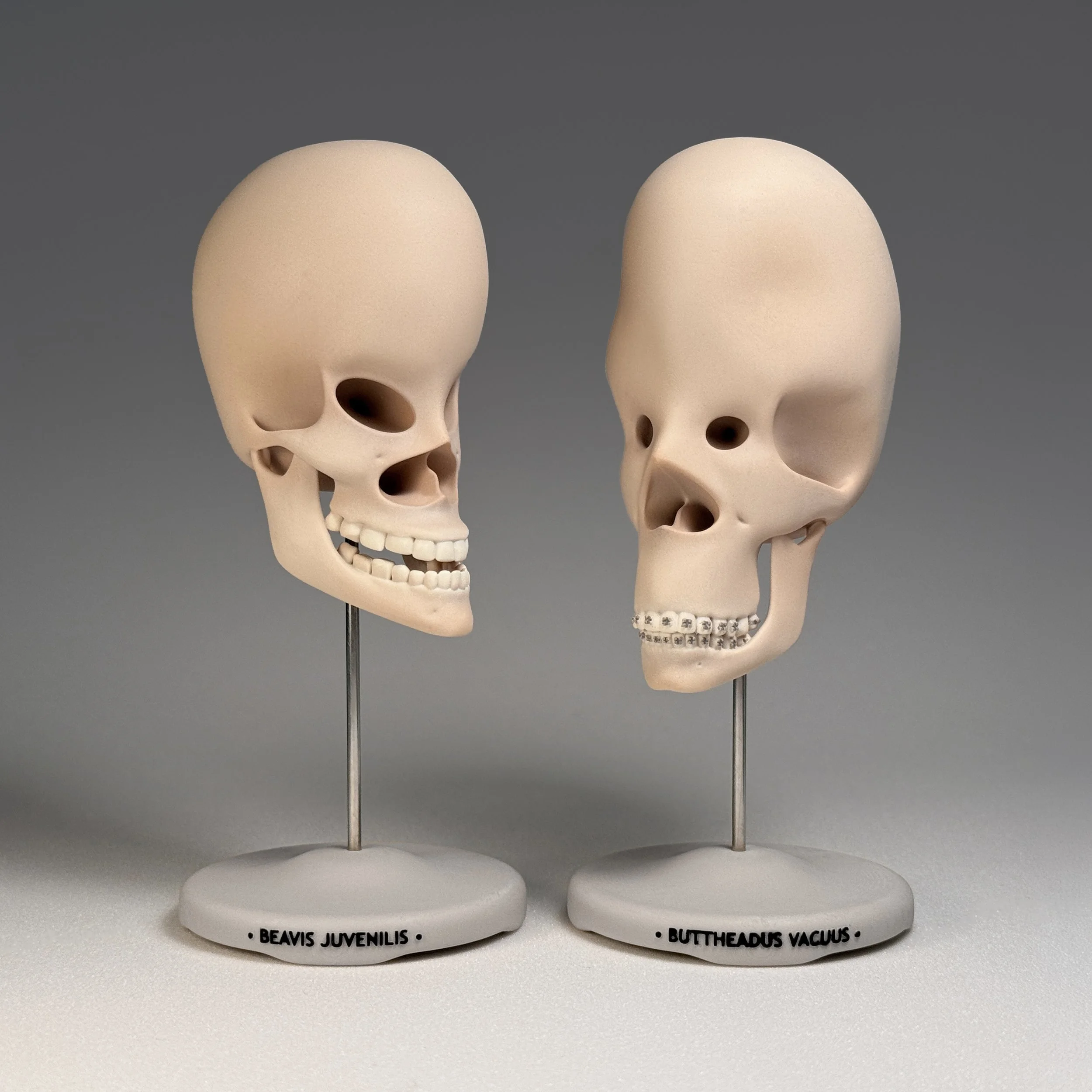 Beavis Juvenilis / Buttheadus Vacuus • 2026
