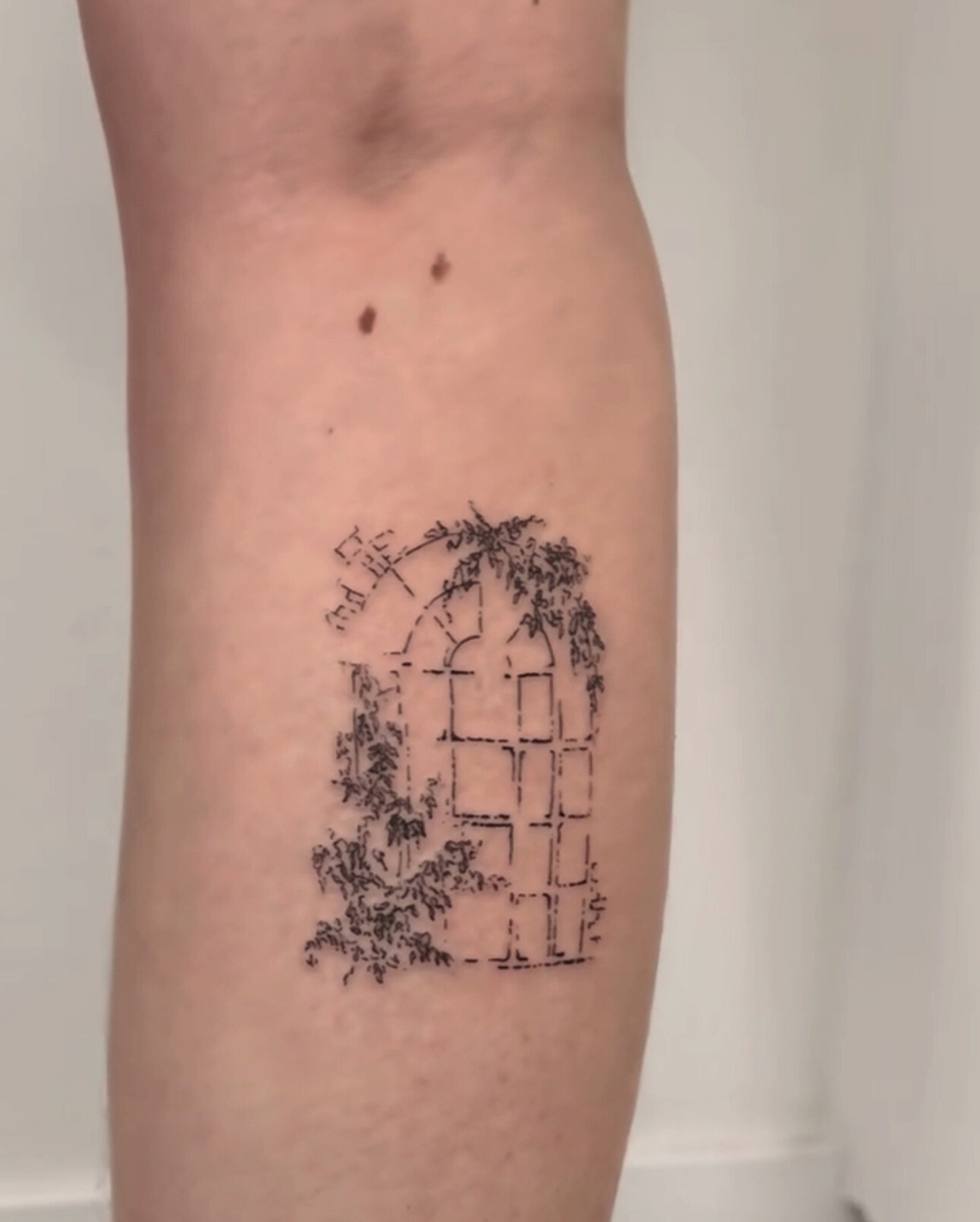 a cutie vintage window 🖤
by Jenna @luckyoutattoo

#vintagetattoos #vegastattoos #lasvegasartist #finelinetattoo #girlytattoo