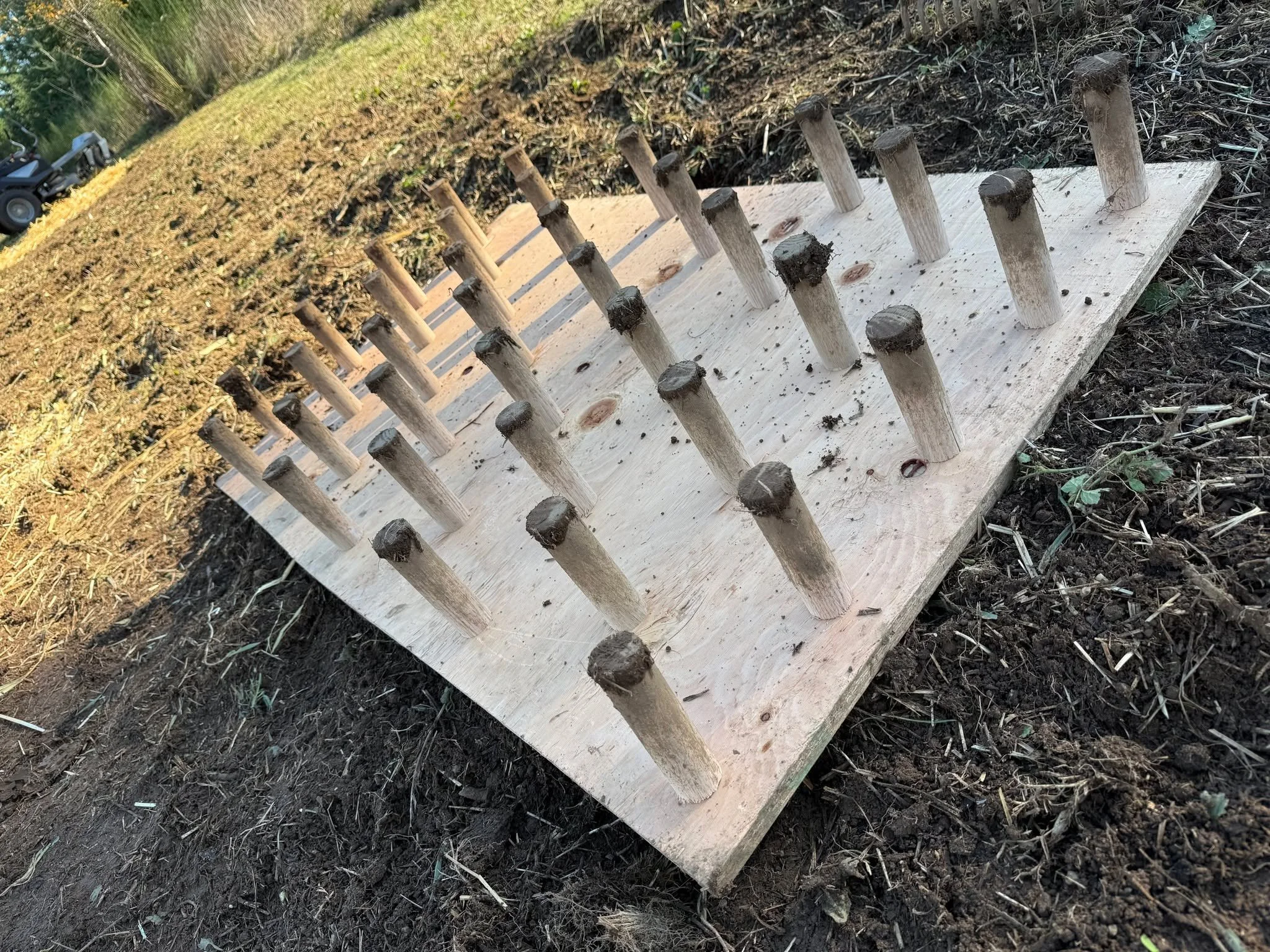 This year we made *Bat man voice* THE DIBBLER! This nifty little bugger sped up the garlic planted process exponentially. Next year we will add long handles because bending over to pick this thing up 100 times is hard on the aging millennial body, es