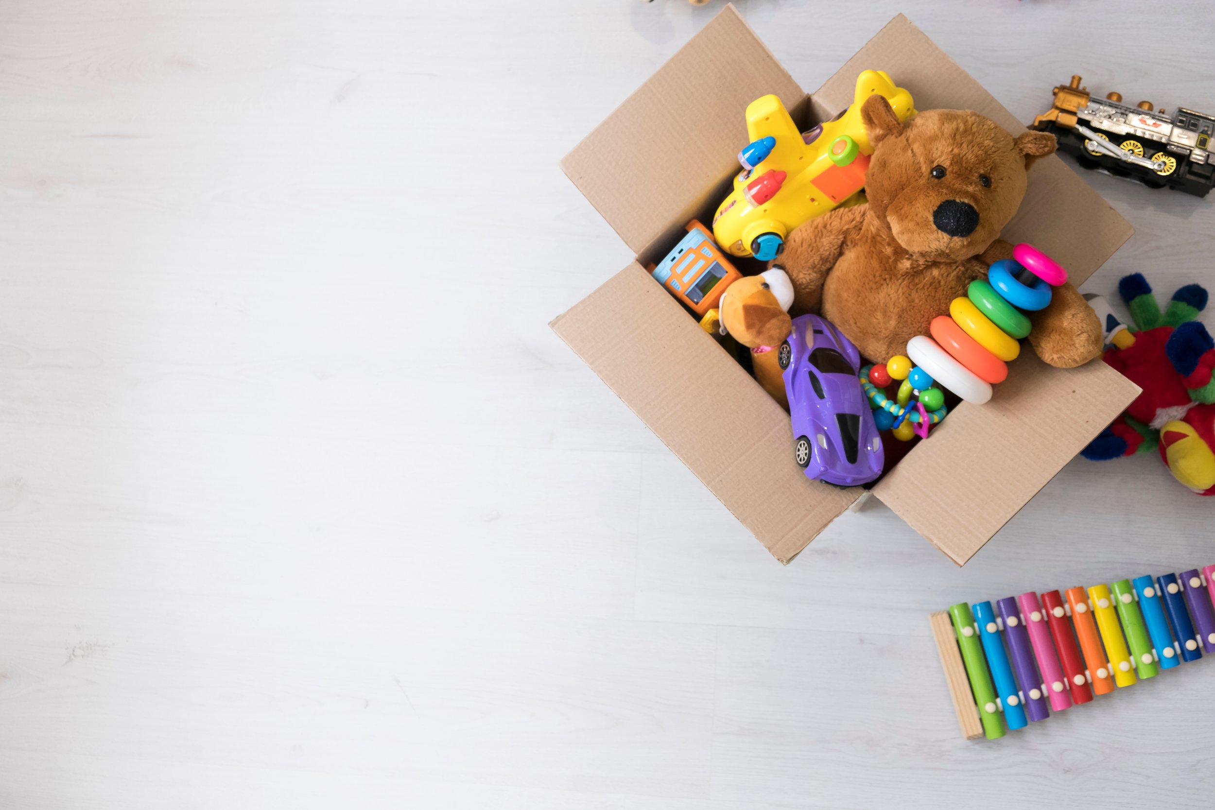 A Toy For Joy