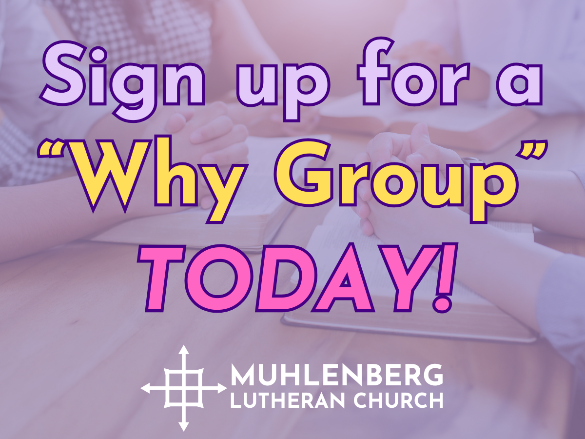 Sign up for a “Why Group” TODAY!