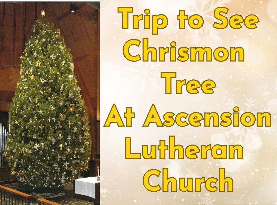 Trip to See Chrismon Tree