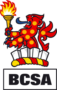 British Constructional Steelwork Association logo