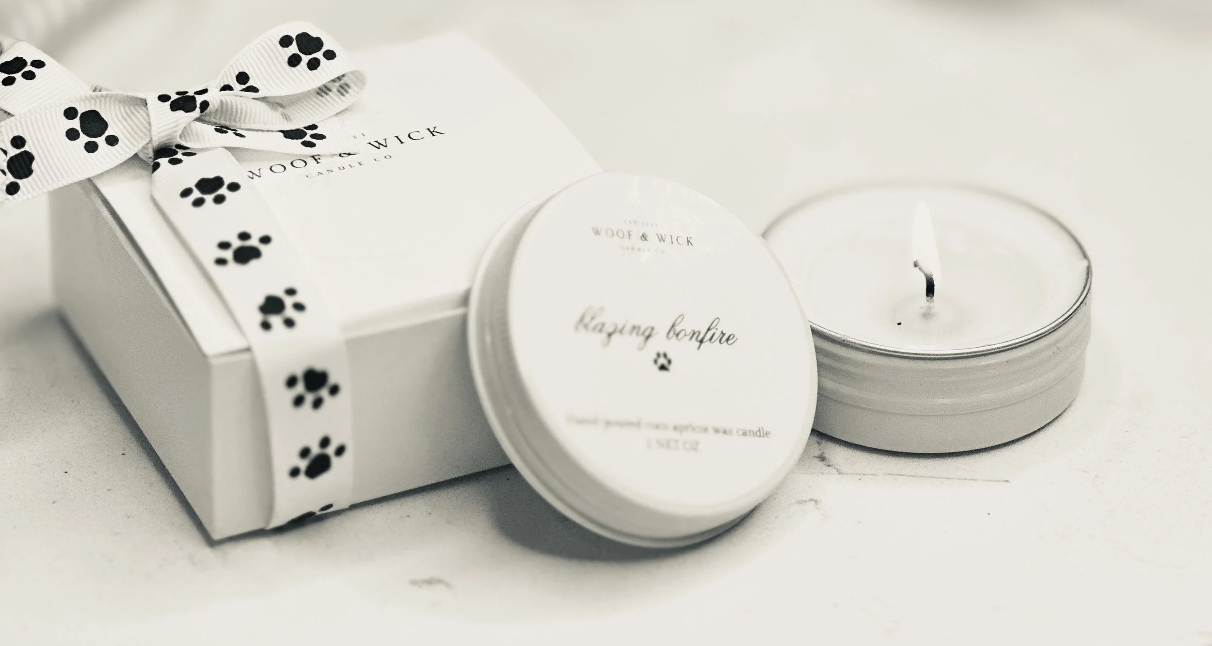 Autumn Vibes Candle Gift Box - Pick 2 - 2 oz Coconut Apricot 2oz Wax Tins | 6 Festive Dog Inspired Fall Scents to Pick From | Cozy Farmhouse Home Decor Essentials - Woof & Wick Candle Co.