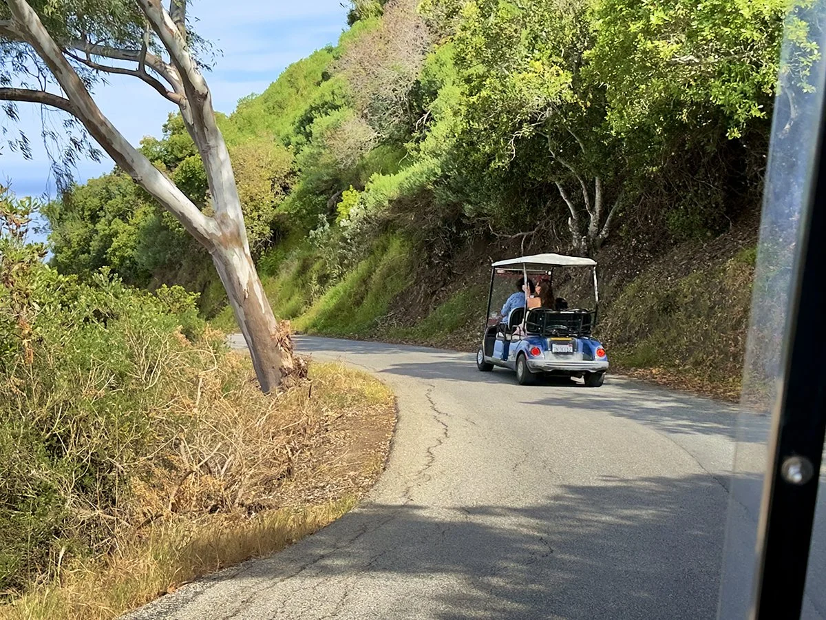 Catalina Island Golf Carts: Ownership, Rentals &amp; Tours in Avalon