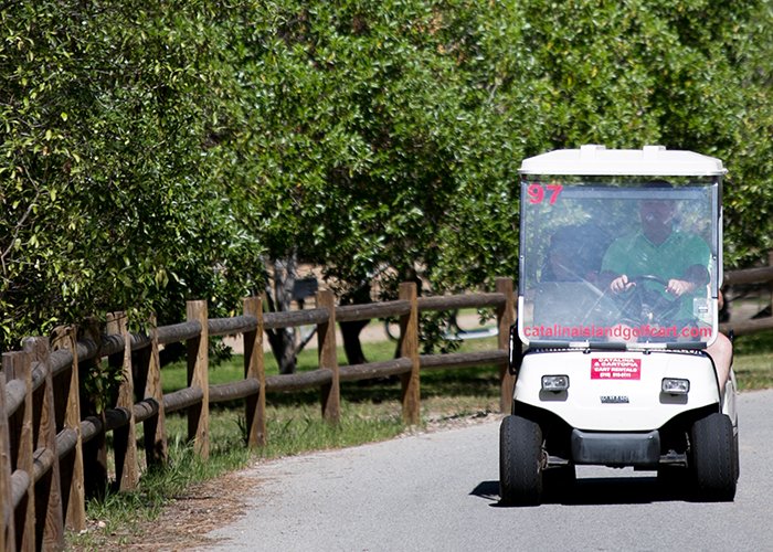 Catalina Island Golf Cart GPS Audio Tour