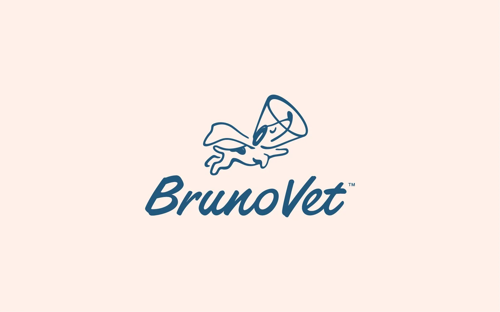 BrunoVet: Brand Design