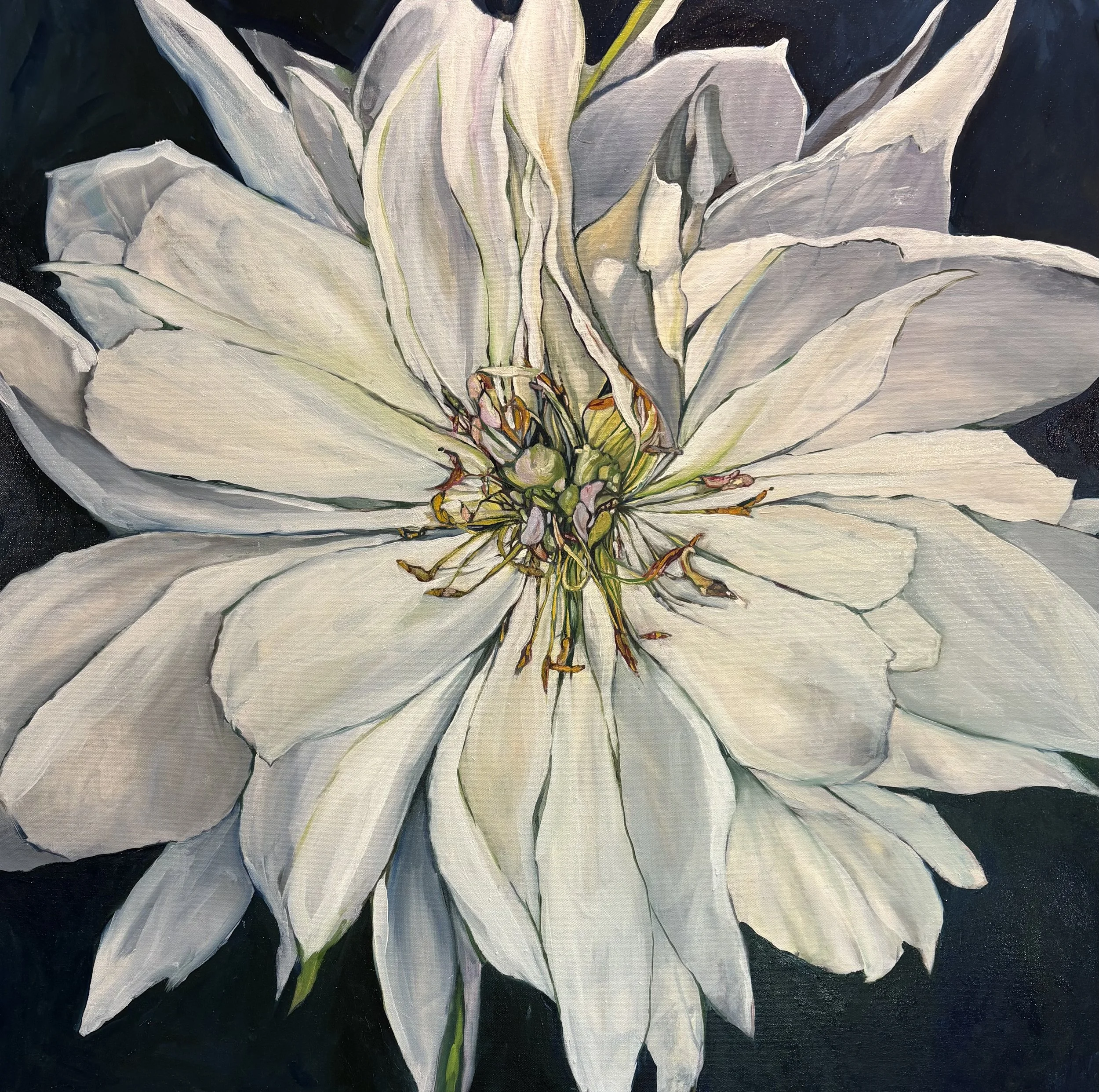  Senescence 
40"h X 40"w