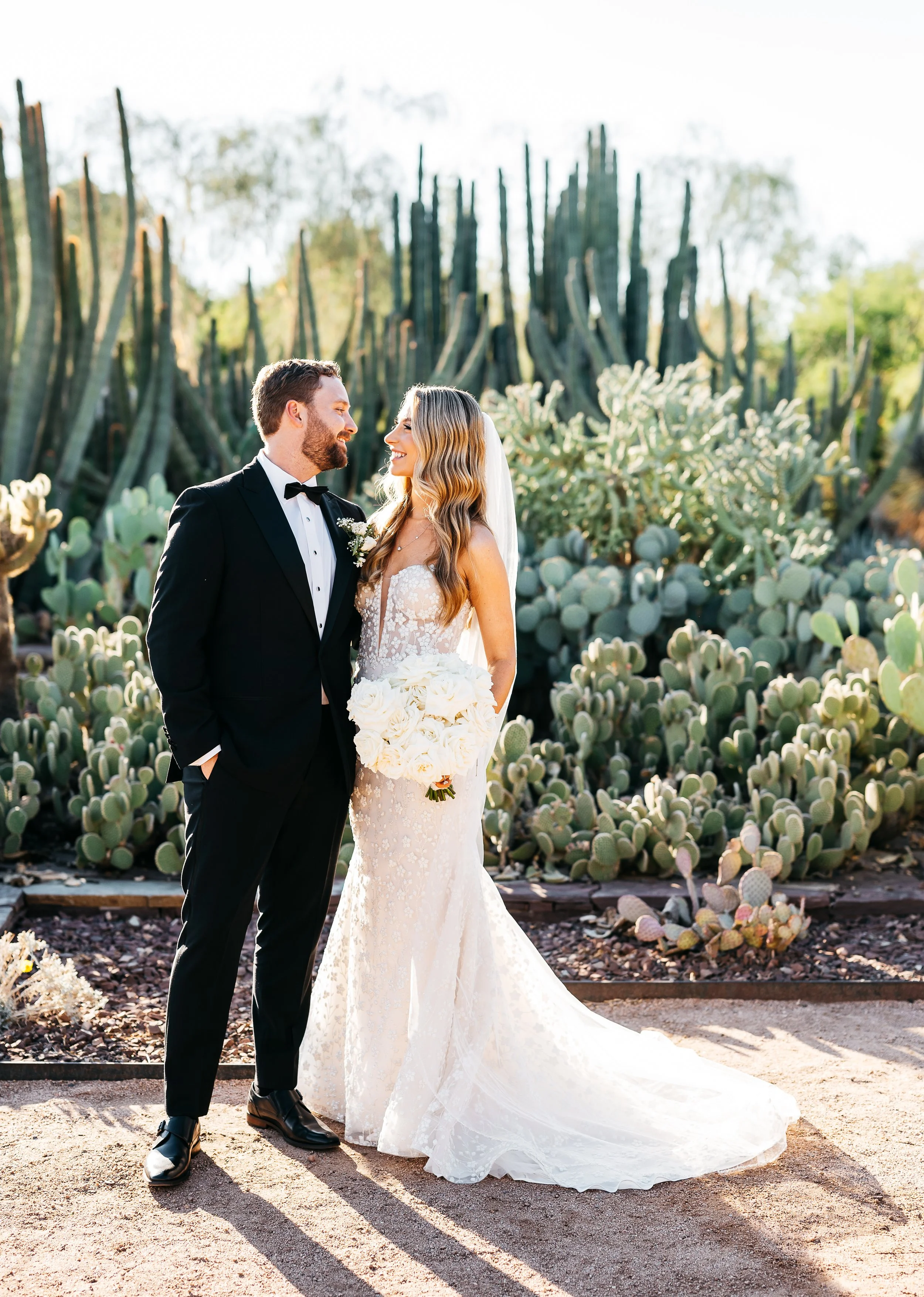 Bride and groom sunset photo at Desert Botanical Gardens in Phoenix Arizona