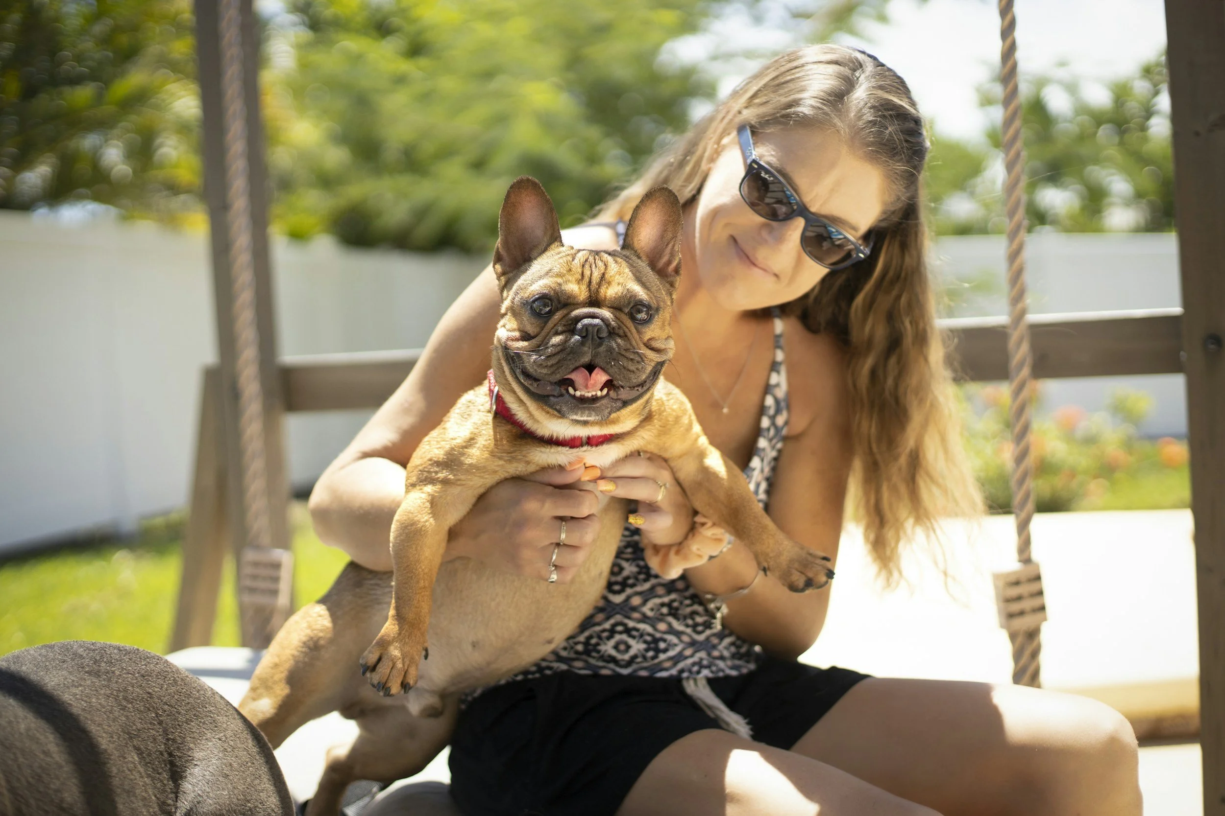 doggie-fun