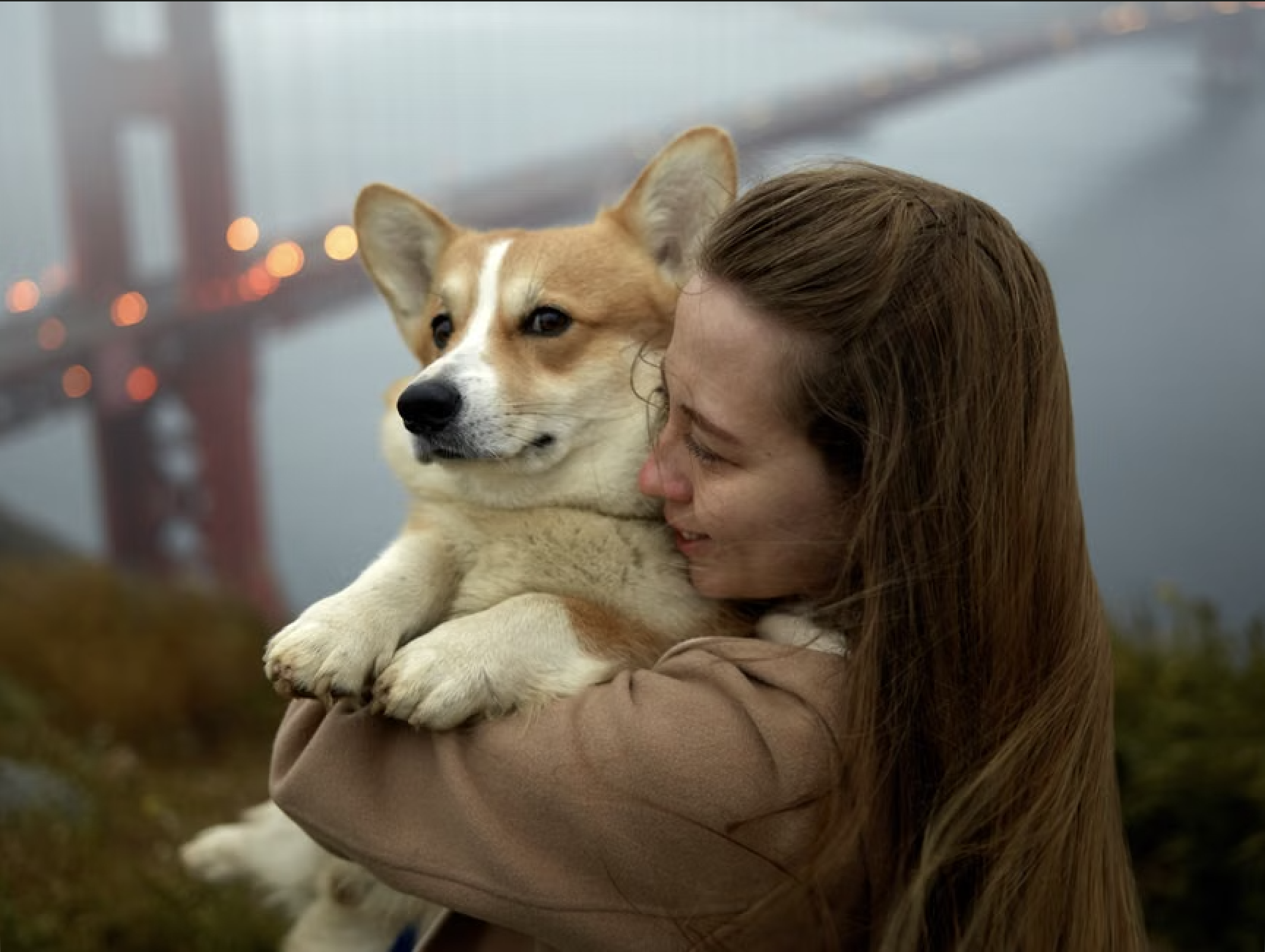 The Ultimate Guide to Reactive Dog Training in San Francisco