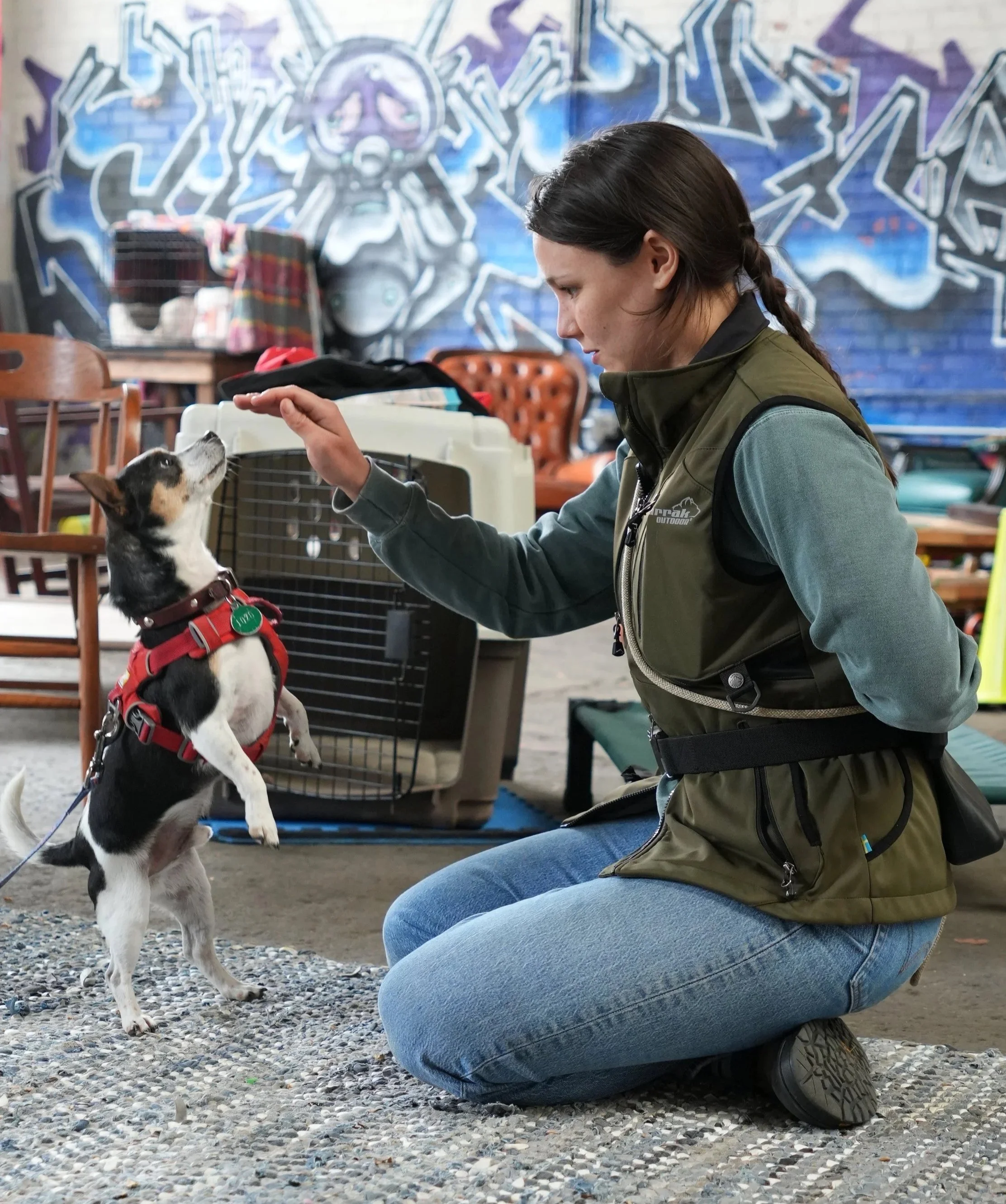 Dog doing a trick with dog trainer.