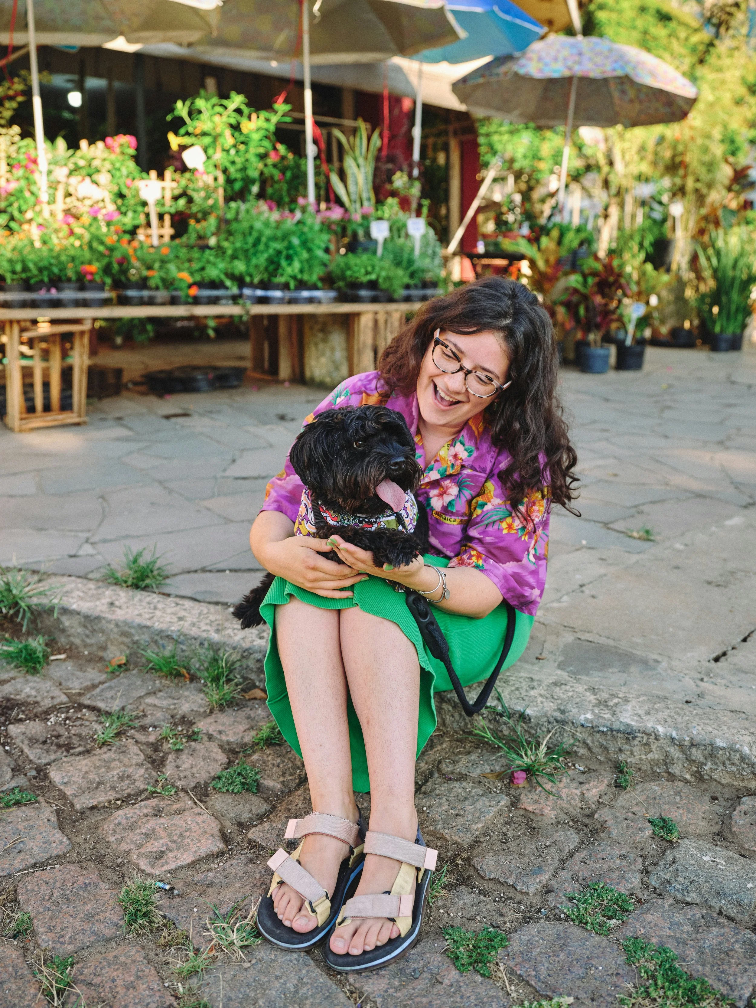dog-summer-camp-dog-training