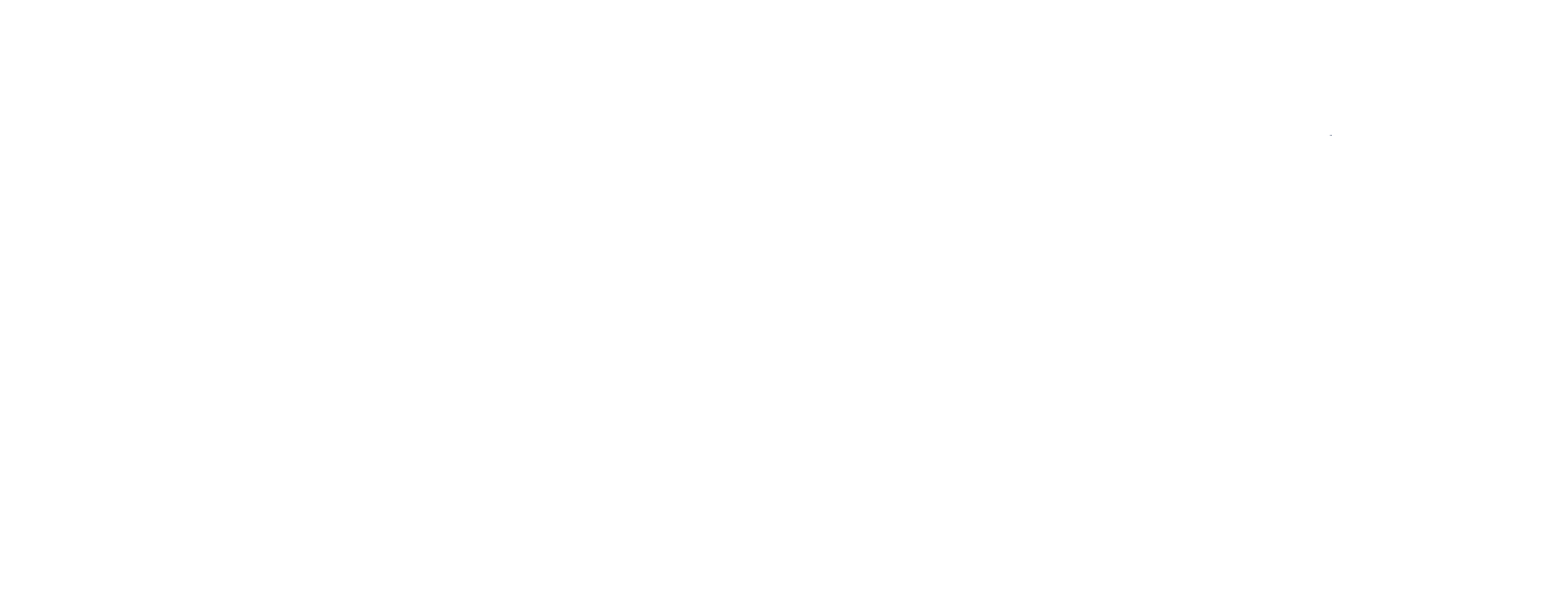 James W. Turner Construction