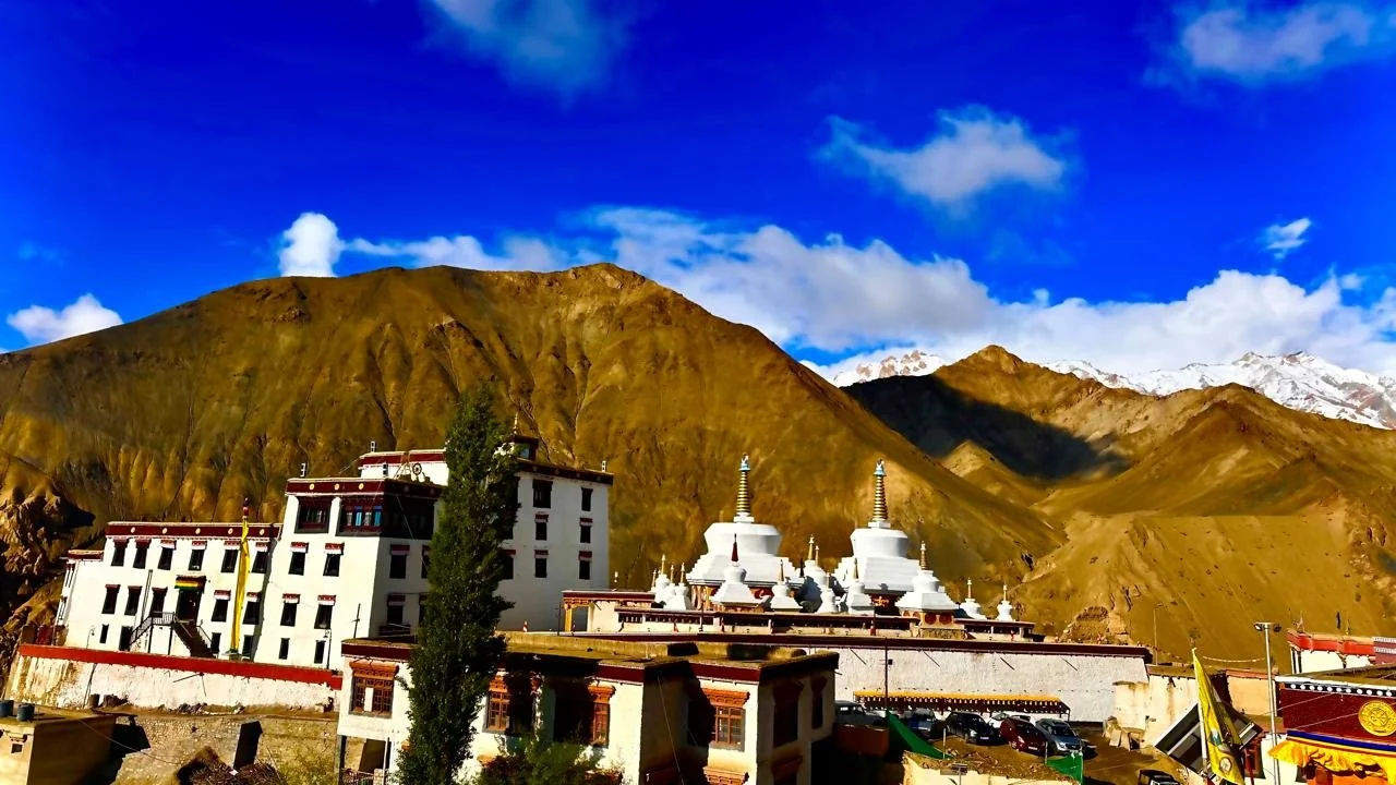 433c431b-04c8-48a8-b3e9-20170b766a9c.jpeg (Copy)