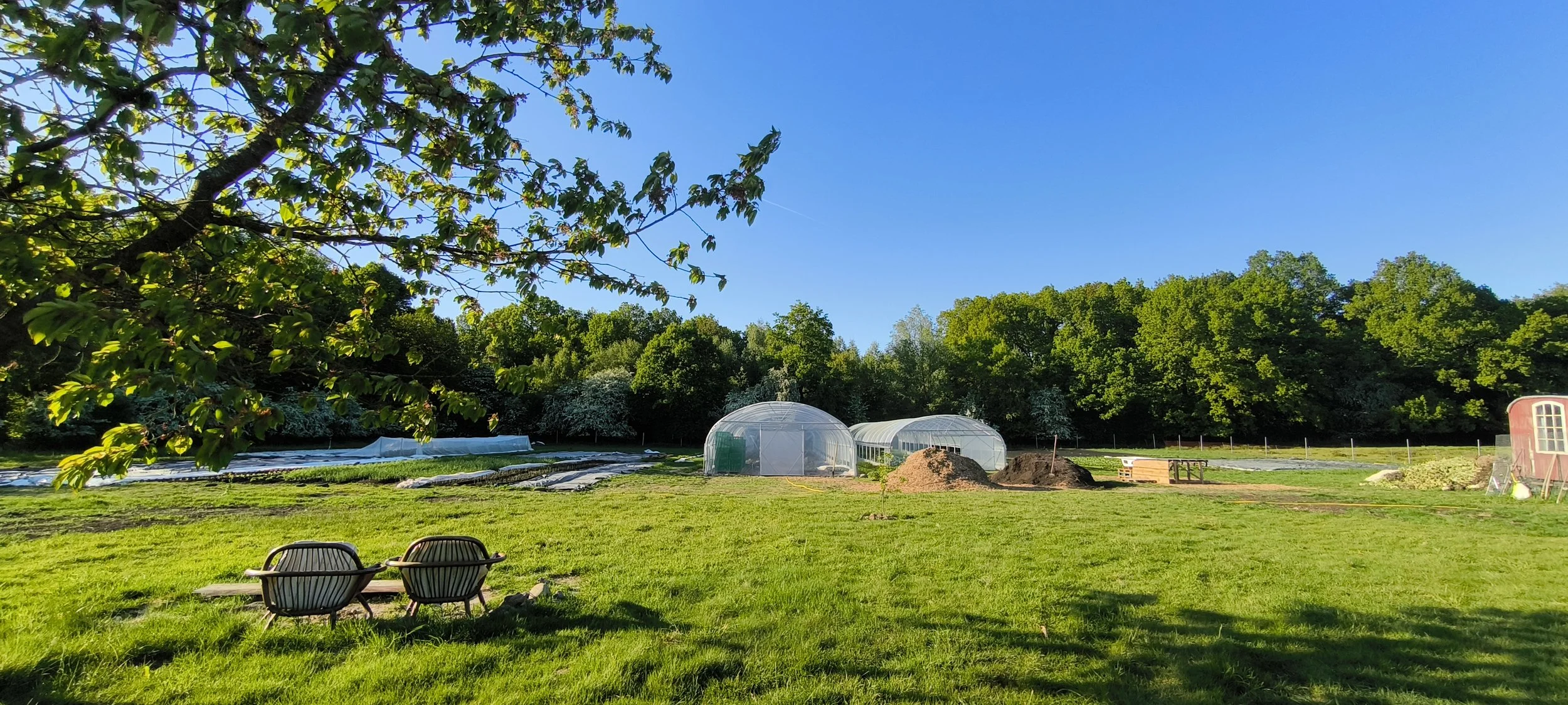 gemüs &amp; munter aus dem Juni