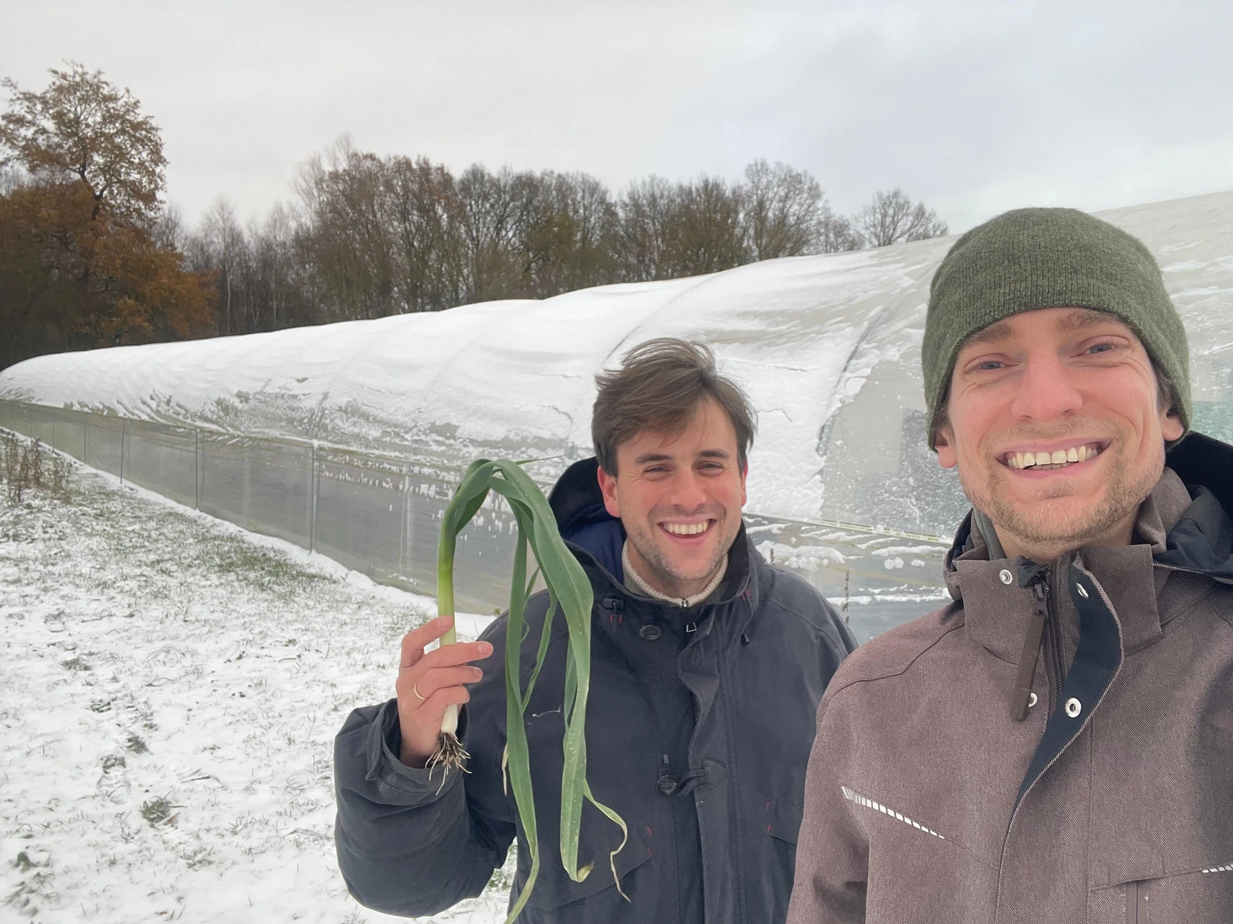 gemüs &amp; munter aus dem November