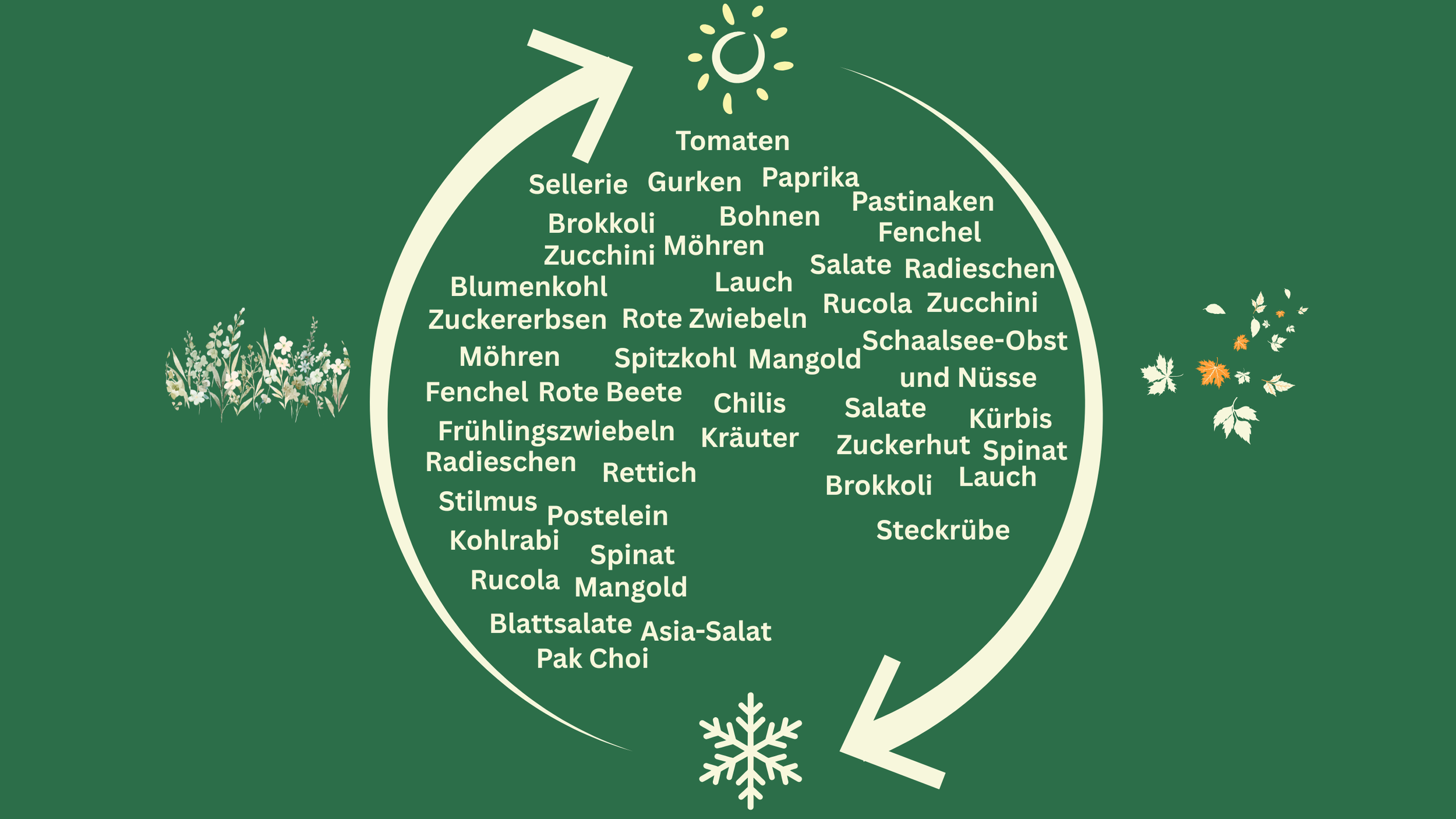 Illustration eines saisonalen Gartenkreislaufs mit verschiedenen Gemüse- und Salatsorten, die in einem Kreis dargestellt sind, einschließlich Tomaten, Gurken, Paprika, Zucchini, Möhren und Salate, mit dekorativen Elementen wie Blumen und Blättern auf grünem Hintergrund.