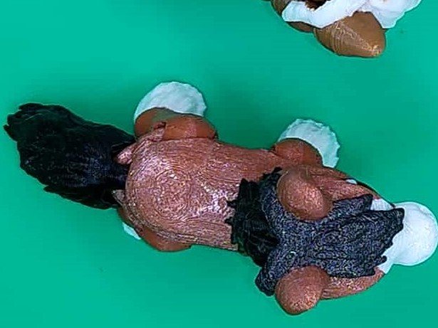 clyde.jpg