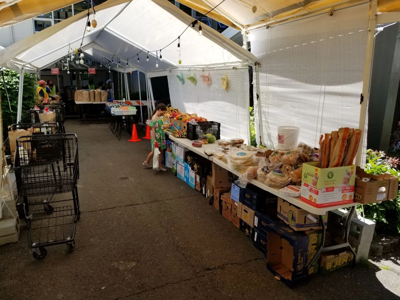 Groceries for Families: Week 62 - Day 1