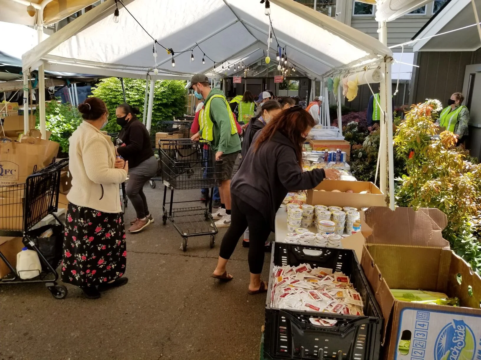 Groceries for Families: Week 58 - Day 3
