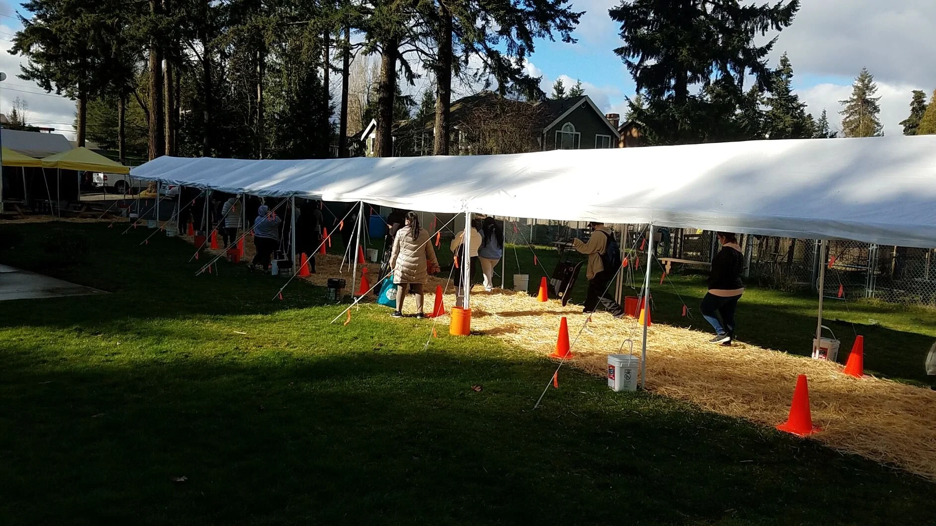 Groceries for Families: Week 45 - Day 2