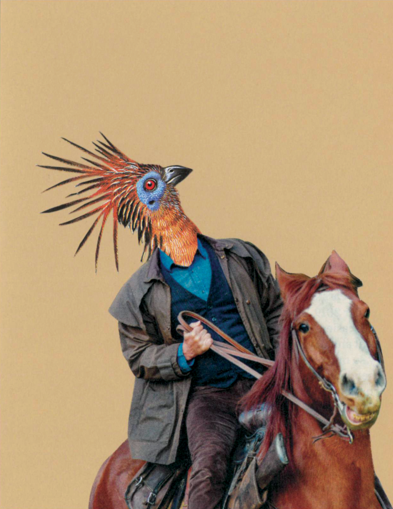 Exotic Bird on horse