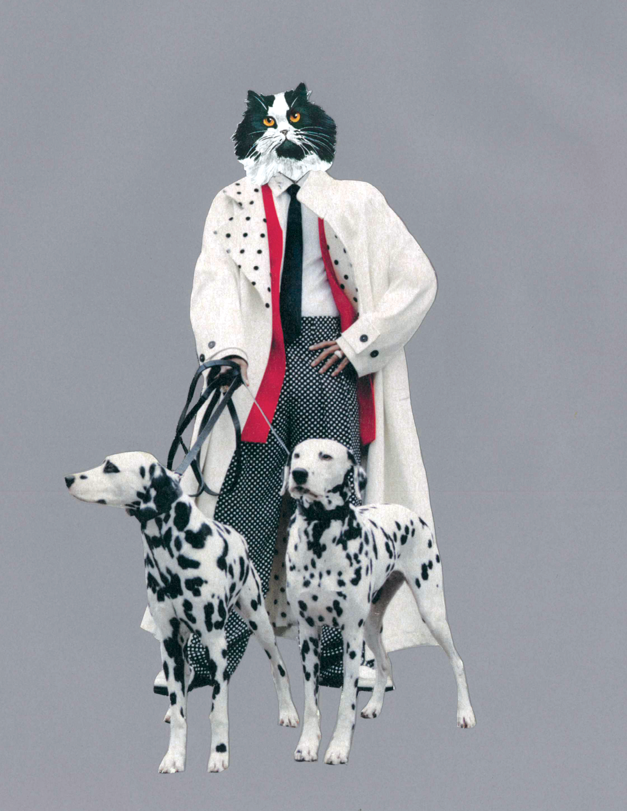 dalmations.png