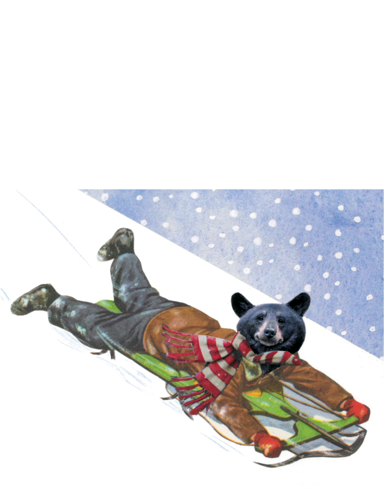 Black Bear Sledding