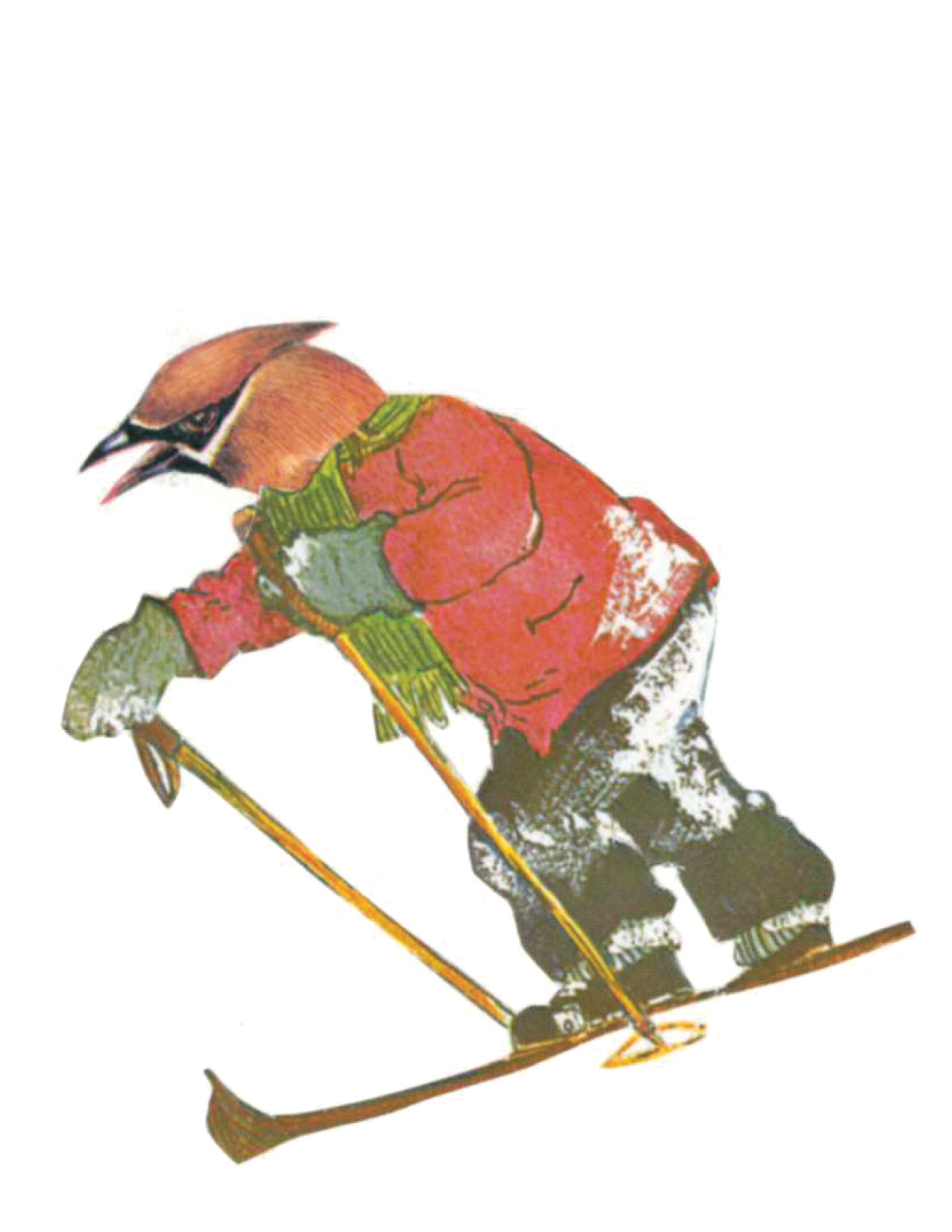 holiday cards3.png