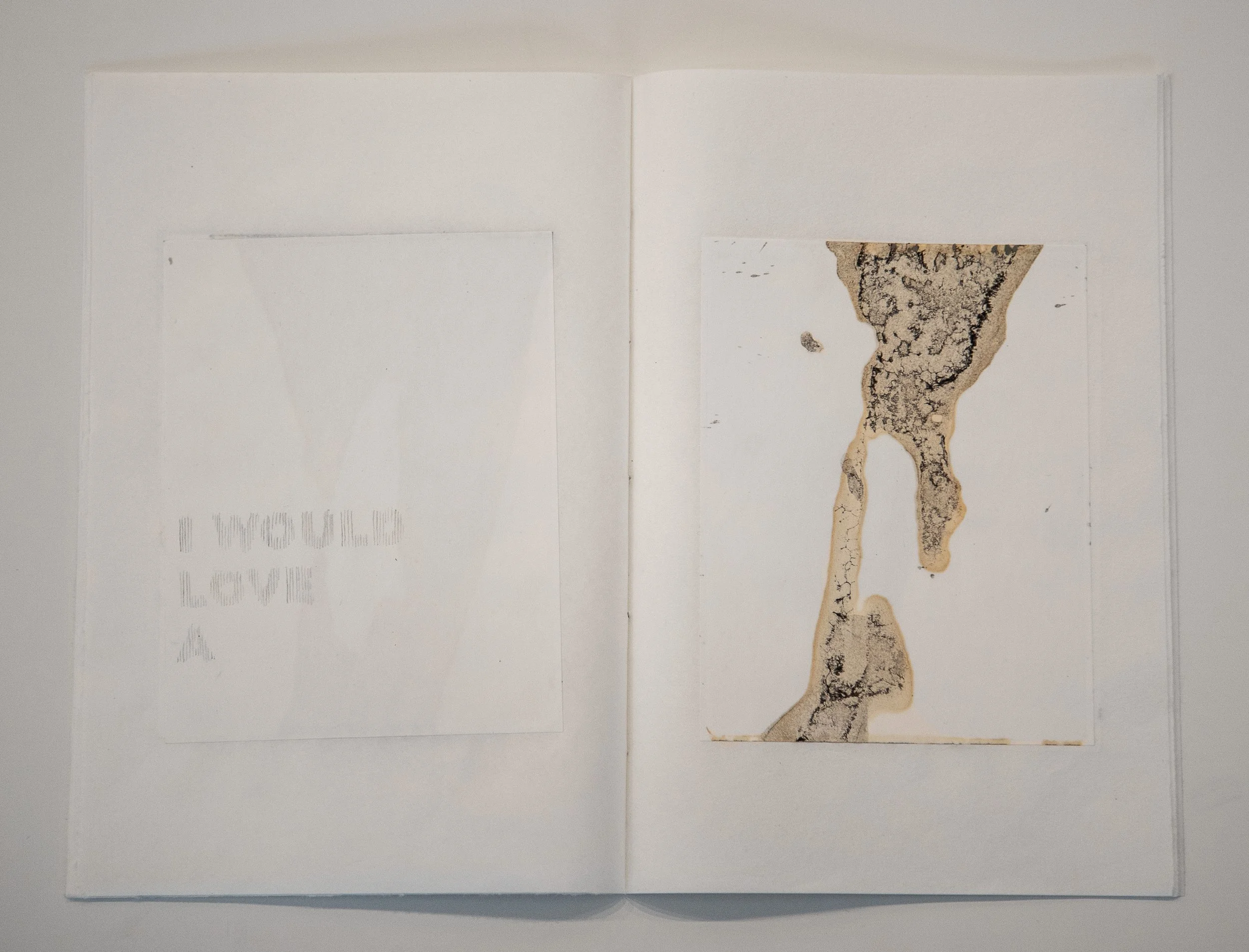 2025 Beau Strickland Art-53 copy.jpg