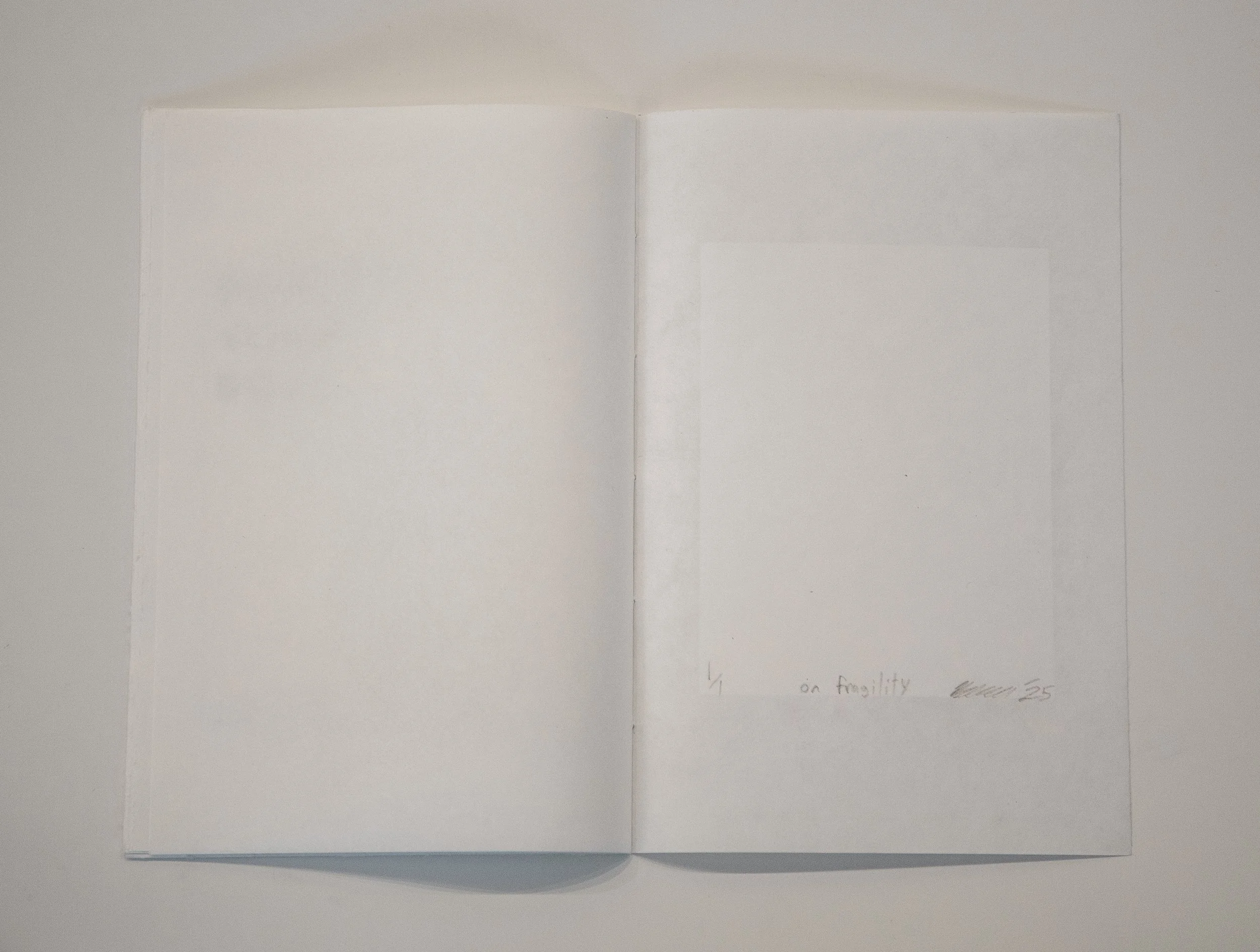 2025 Beau Strickland Art-58 copy.jpg