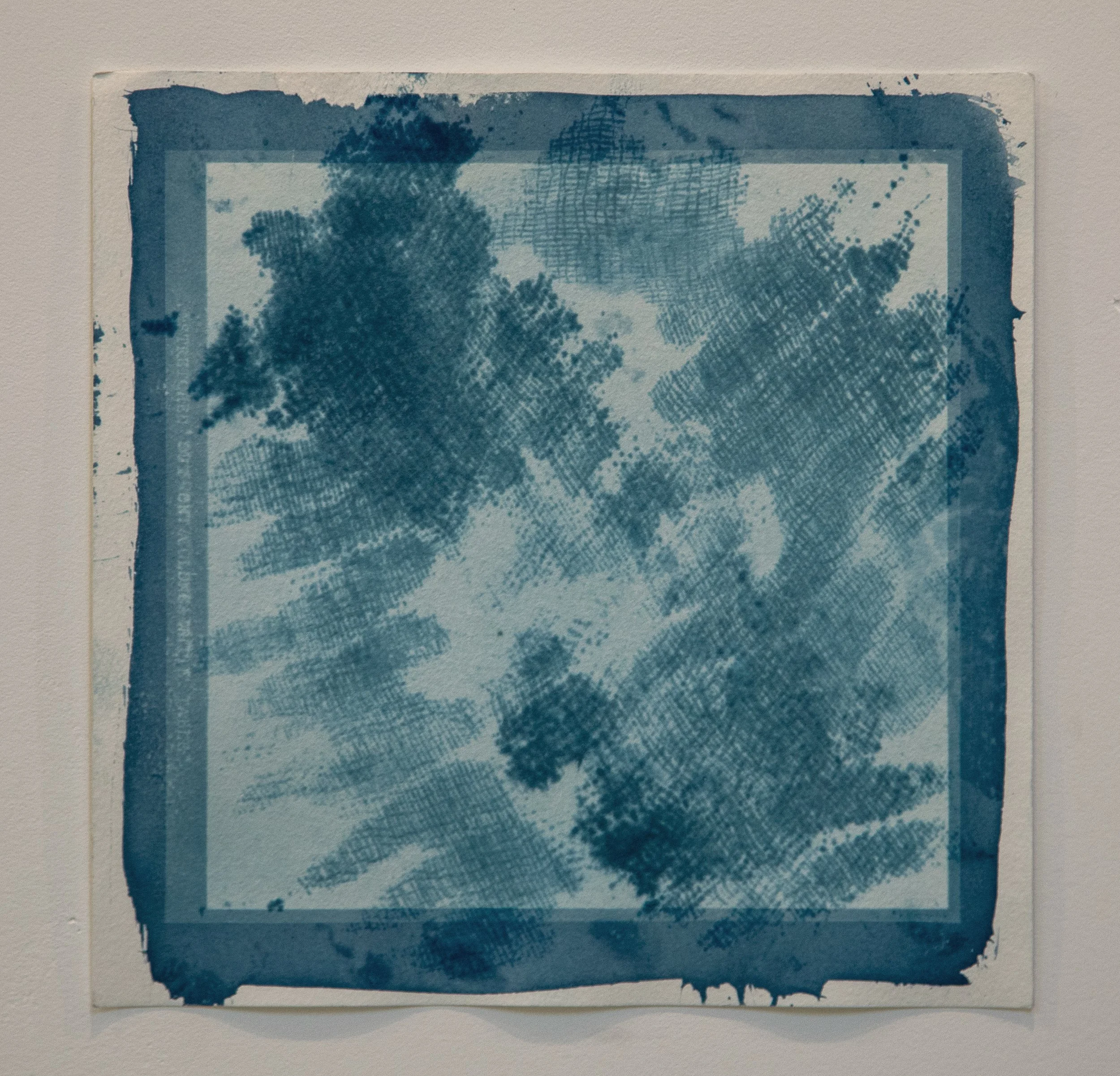 "Spine Occurrence No.2", Cyanotype, 9 x 9", 2025