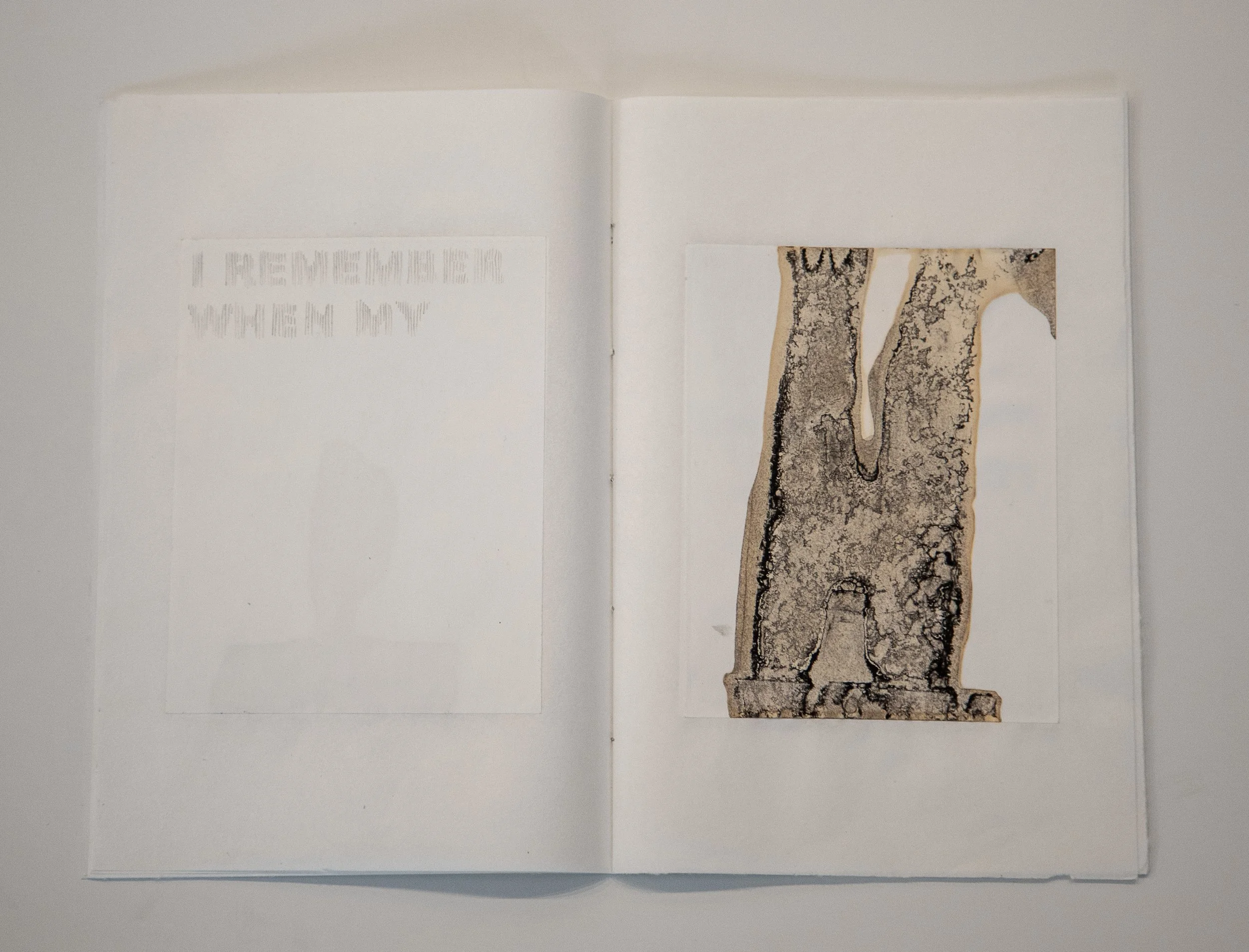 2025 Beau Strickland Art-51 copy.jpg