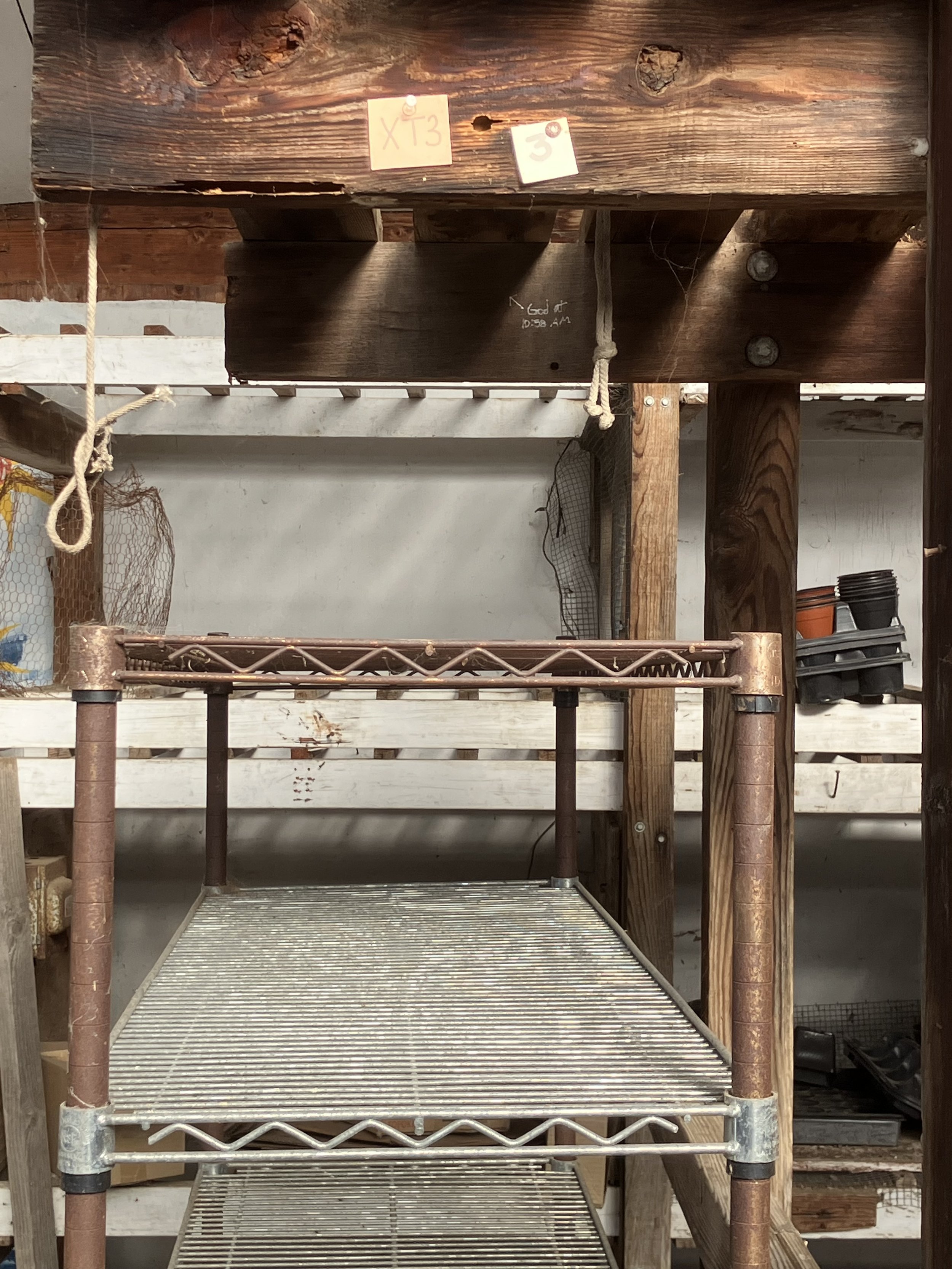 "God at 10:38 am", 2025