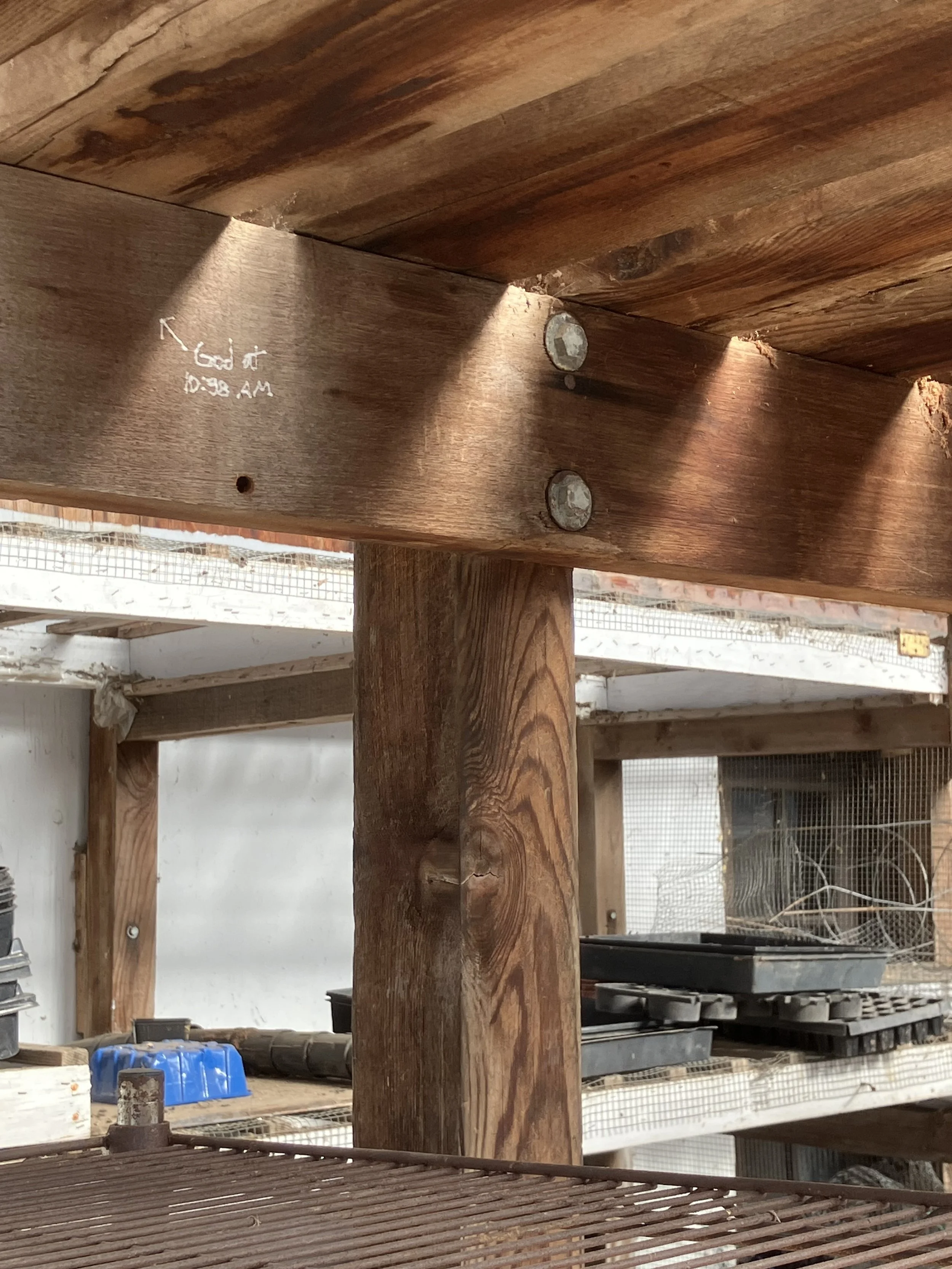 "God at 10:38 am", 2025