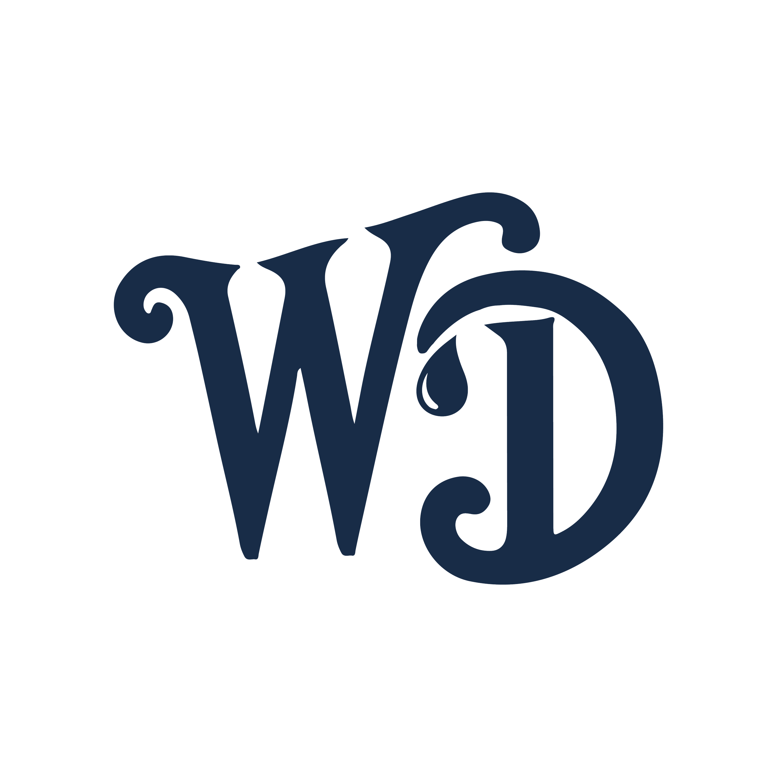 Water Doctor Final Logo Small Blue-02.png