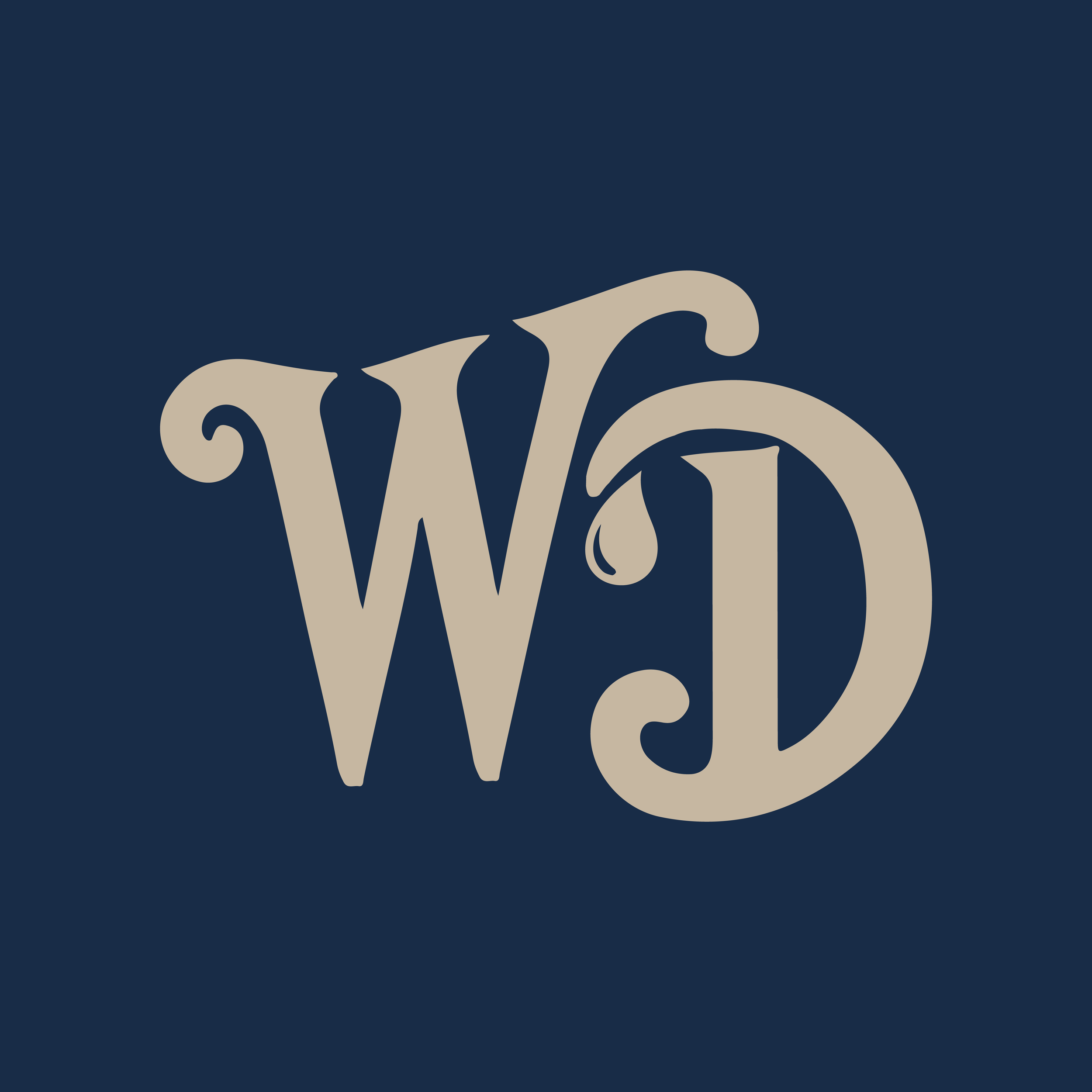 Water Doctor Final Logo Small Sand on Blue-14.png