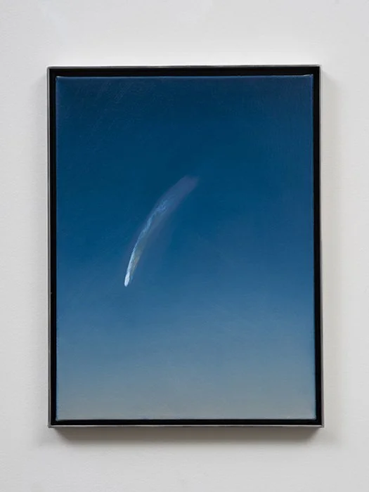 Rob Reynolds, Overview, Anthony Meier Fine Arts