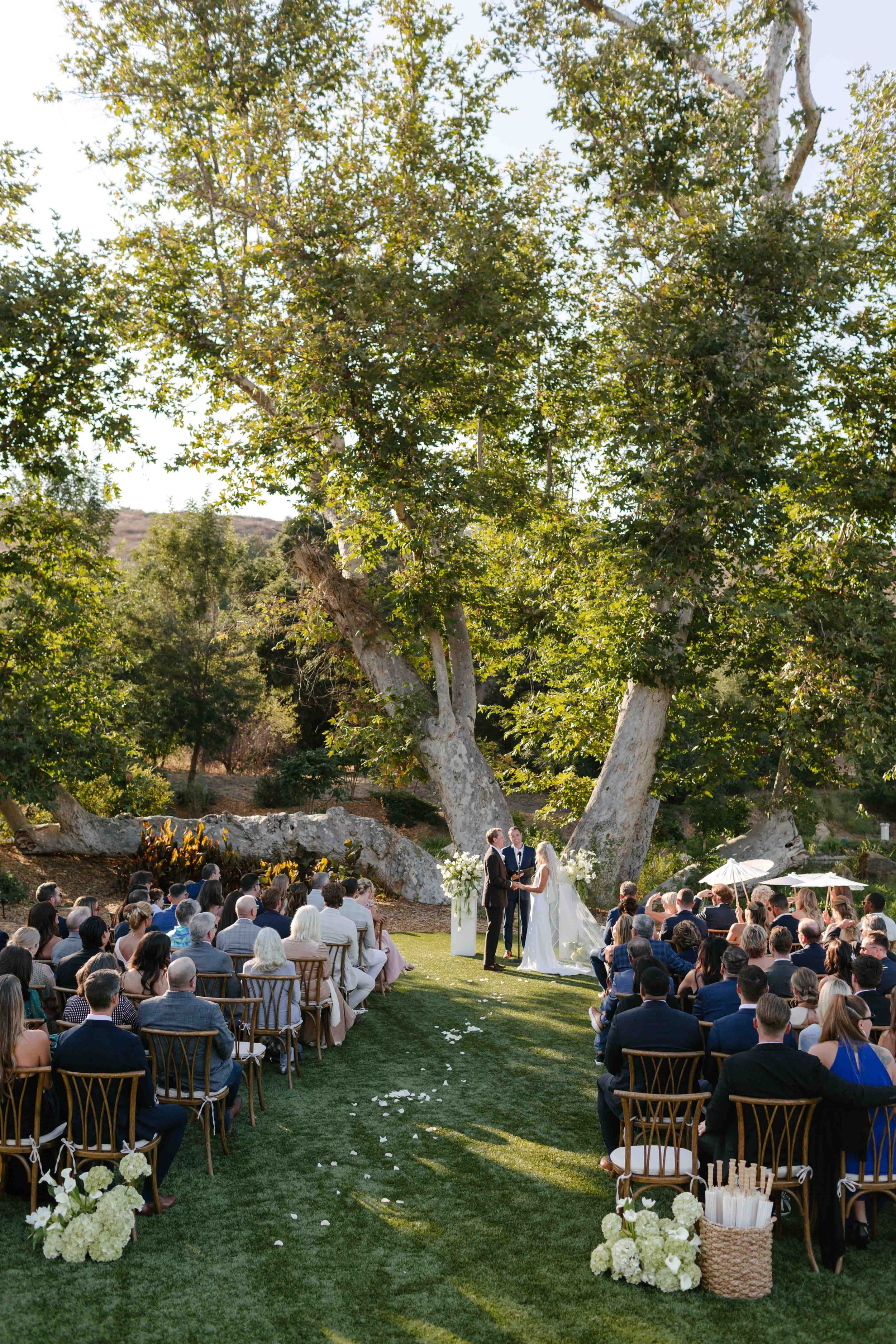 monserate-winery-socal-san-diego-southern-california-wedding-photographer-modern-documentary-candid-bride-venue-29.jpg