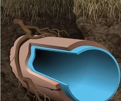 Cross-sectional illustration of a pipe underground with surrounding soil and roots.