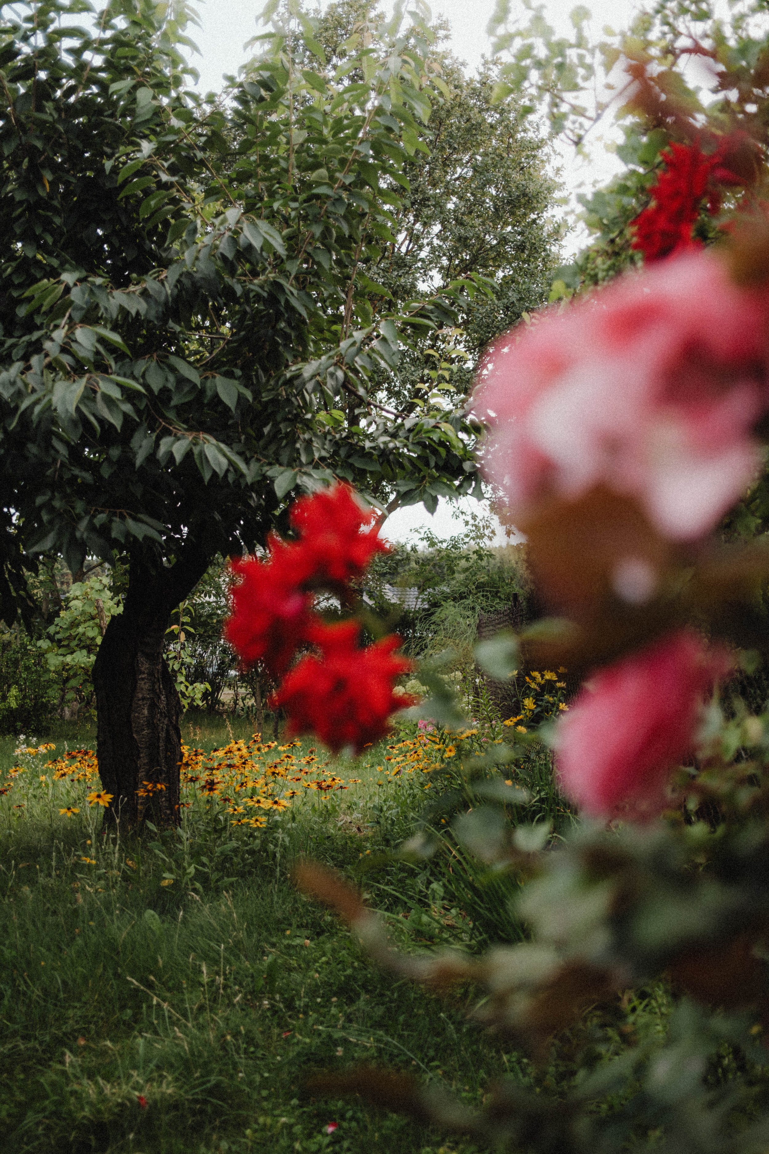 professionelle und bedürfnisorientierte systemische Psychotherapie im Online-Kontext