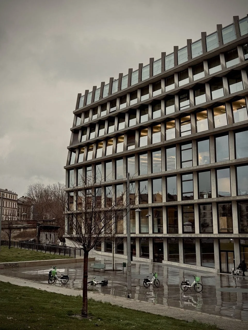 Modern glass and concrete building with large windows, wet plaza, and green city bikes after rain.