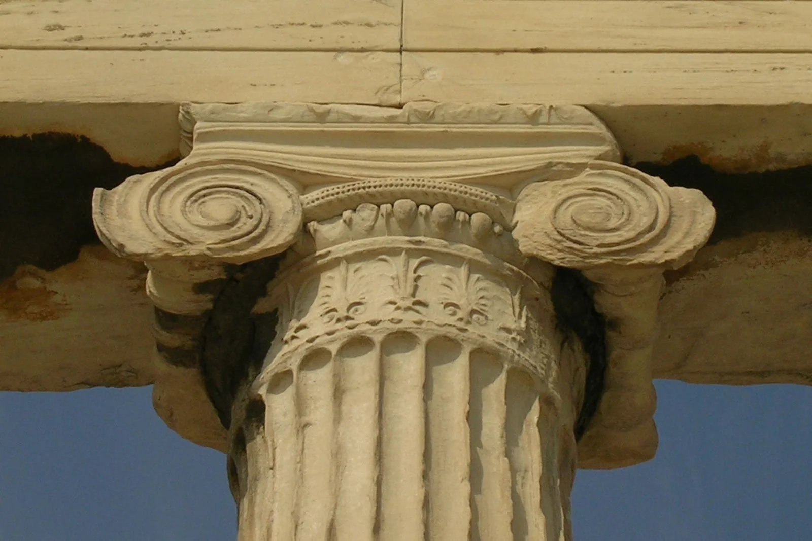 Close view of an Ionic capital with spiral volutes and egg-and-dart molding, turning a simple shaft into an elegant signature of Greek temple design.