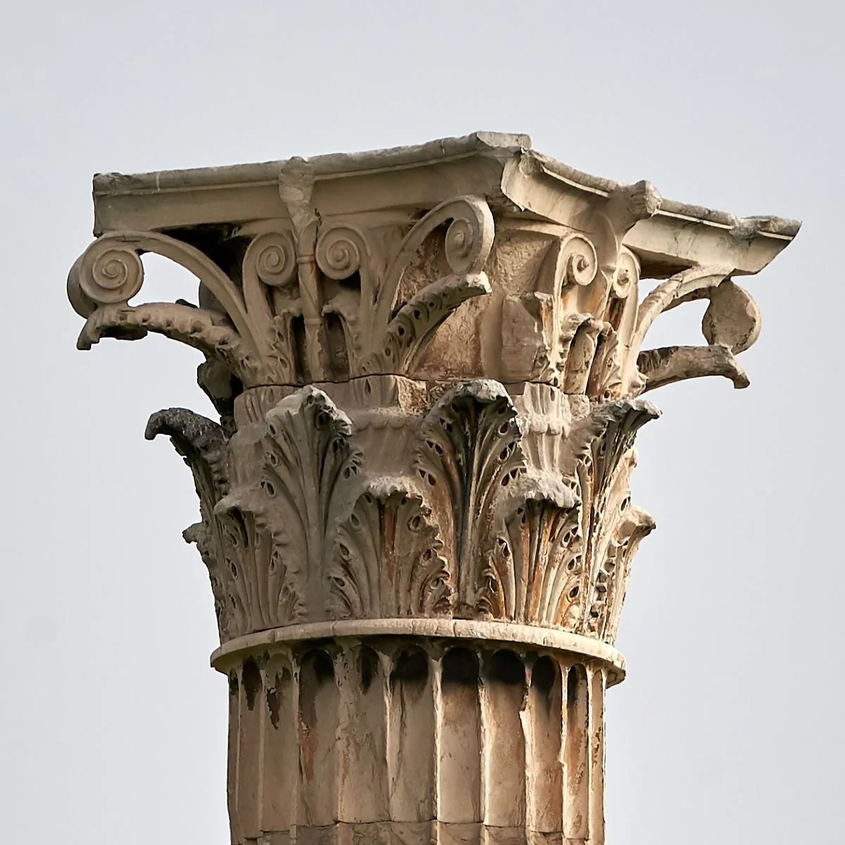 Close-up of a Corinthian column capital, carved acanthus leaves and volutes crowning a lofty ancient Greek temple shaft.